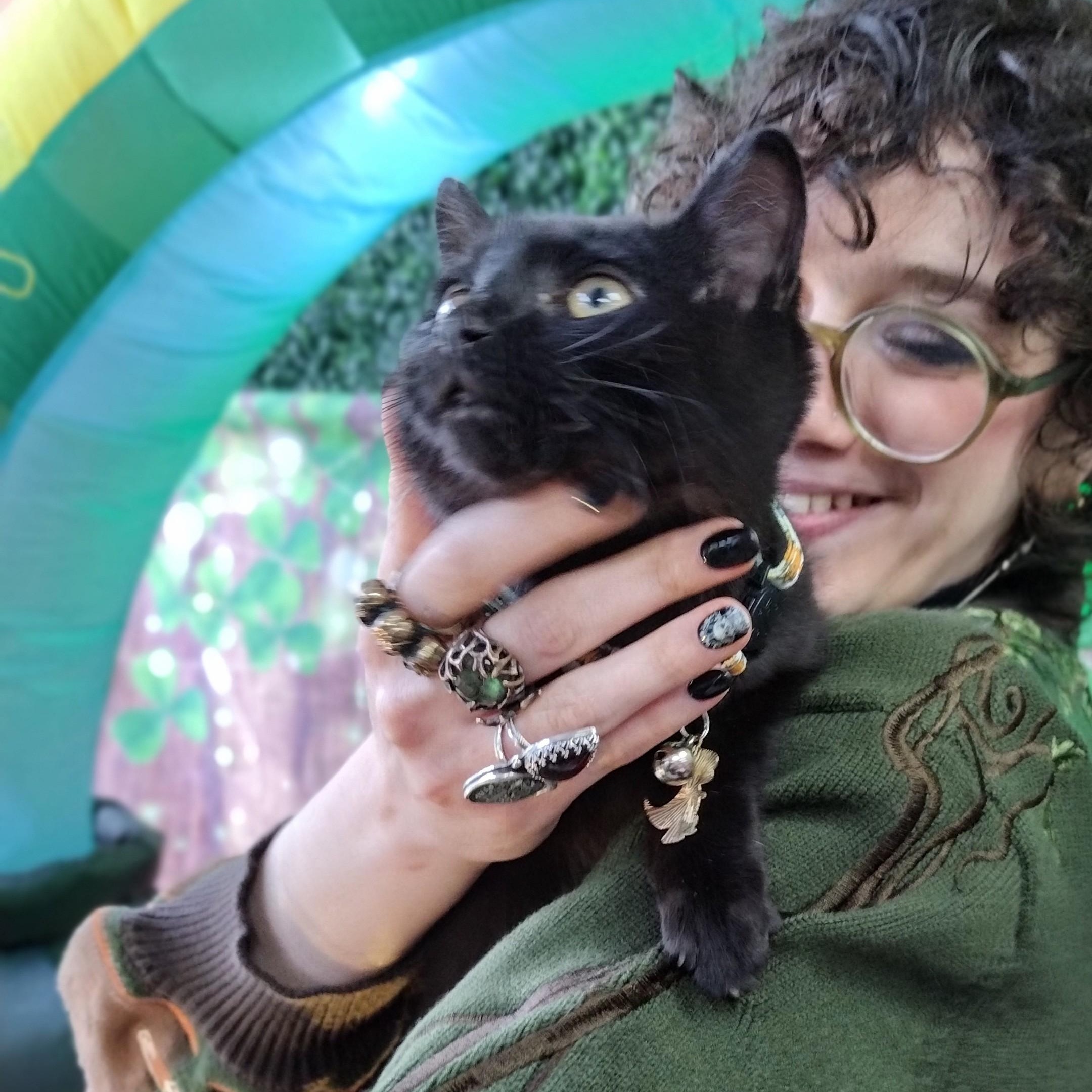 Captain Shark, a ADOPTABLE mixed breed in Brooklyn, NY image 2/4