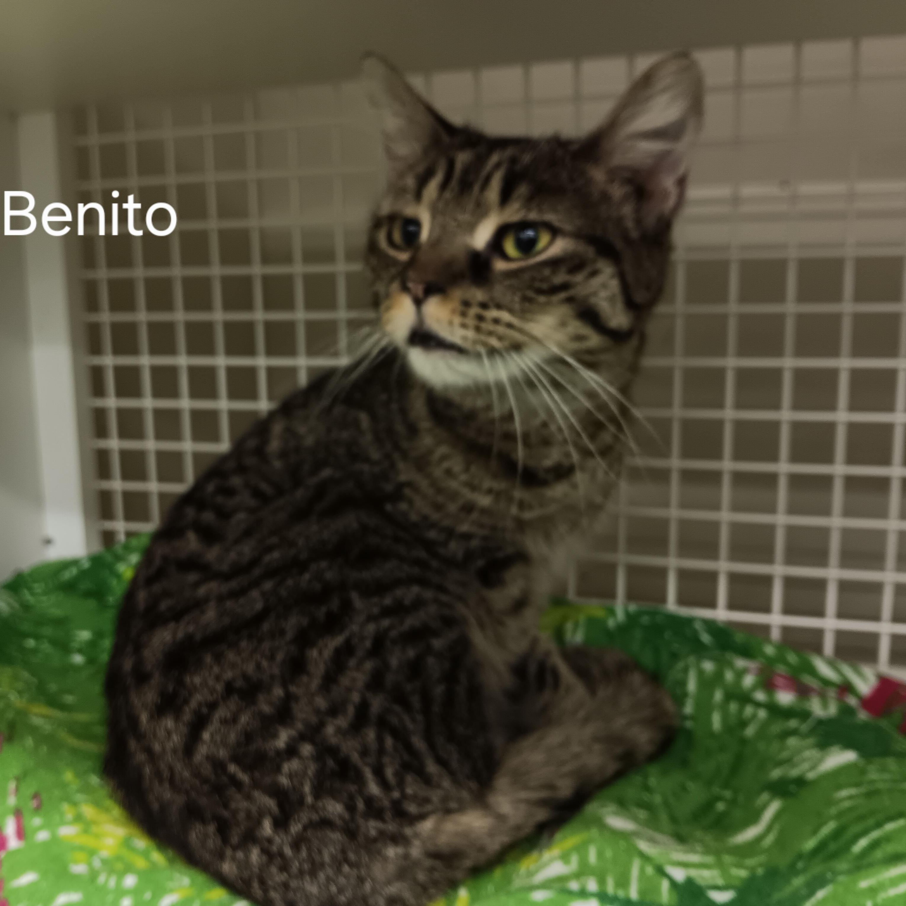 Benito