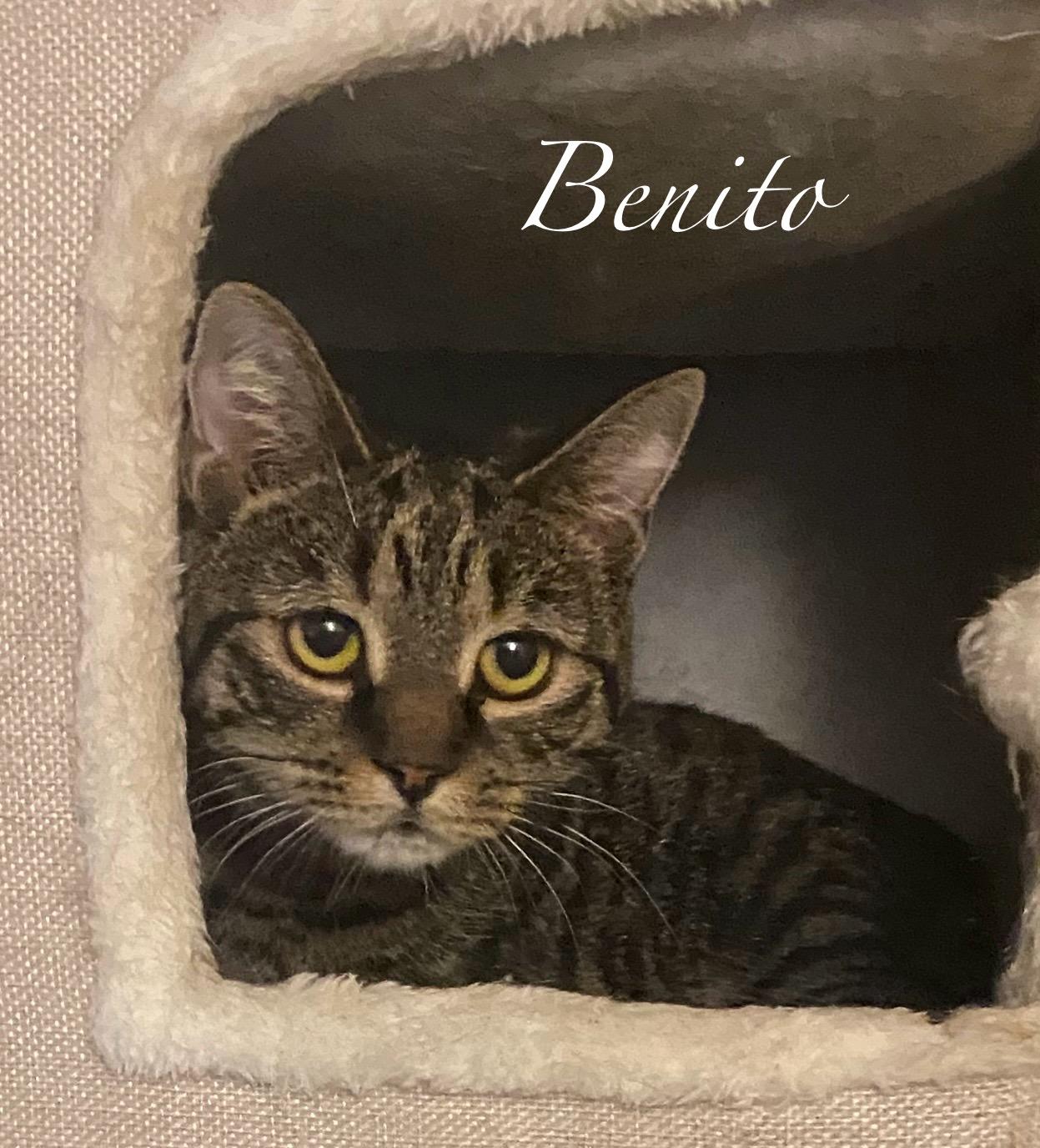 Benito