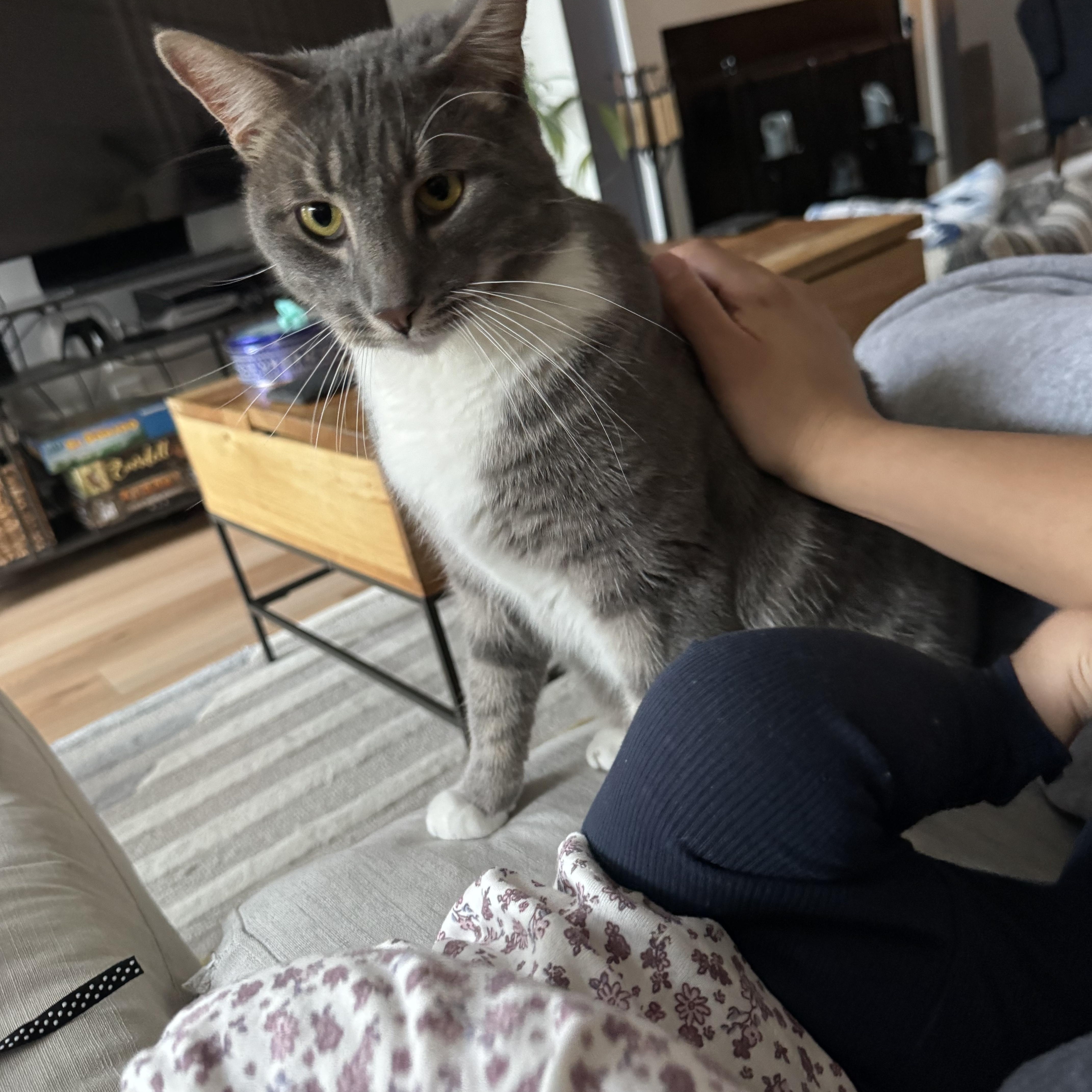 Tostito And Taki thumbnail 4