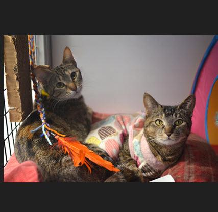 Tuesday — thumbnail 2