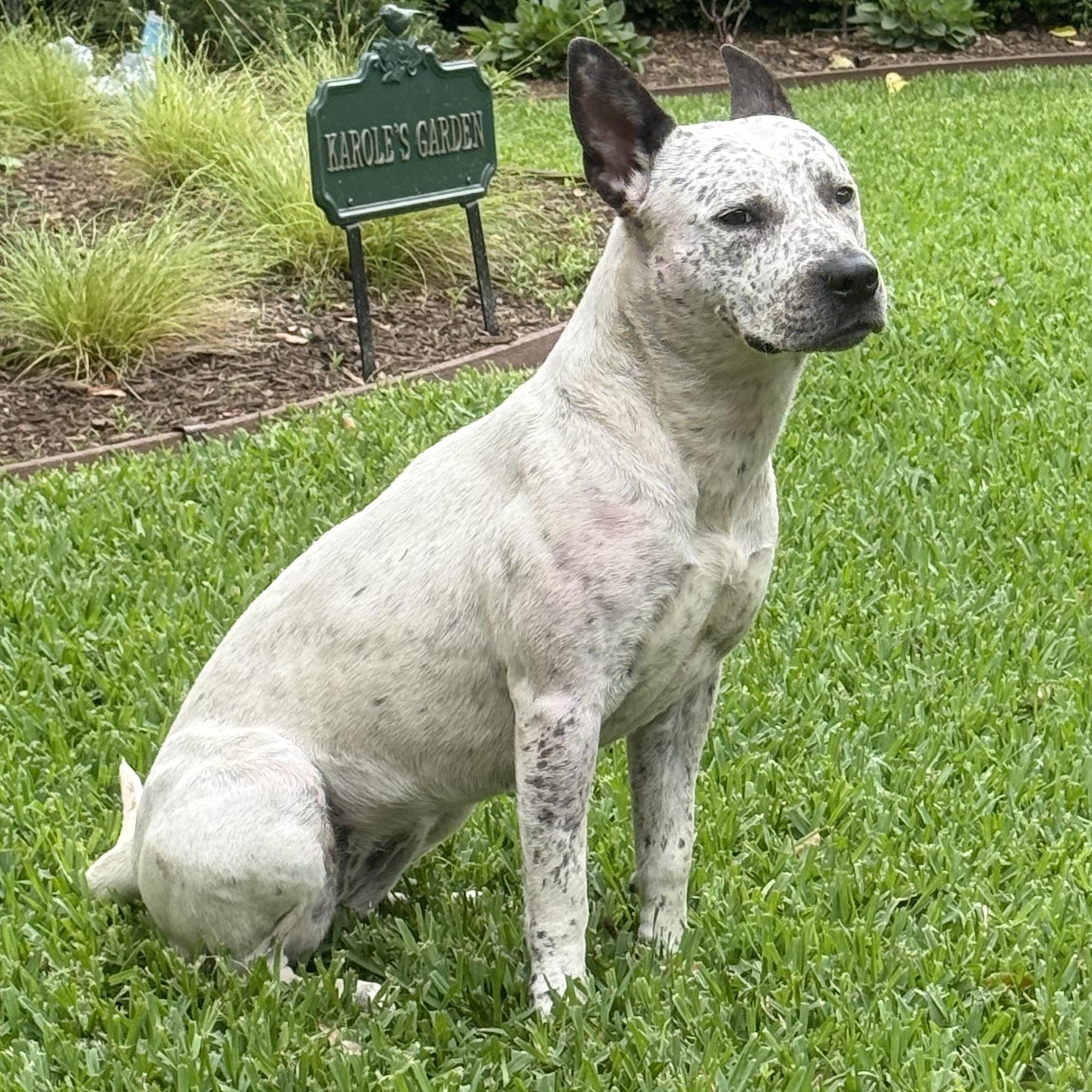 Mabel photo 4