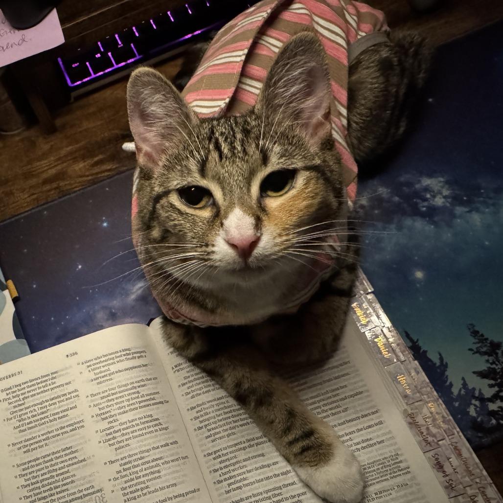 Marcel — thumbnail 3