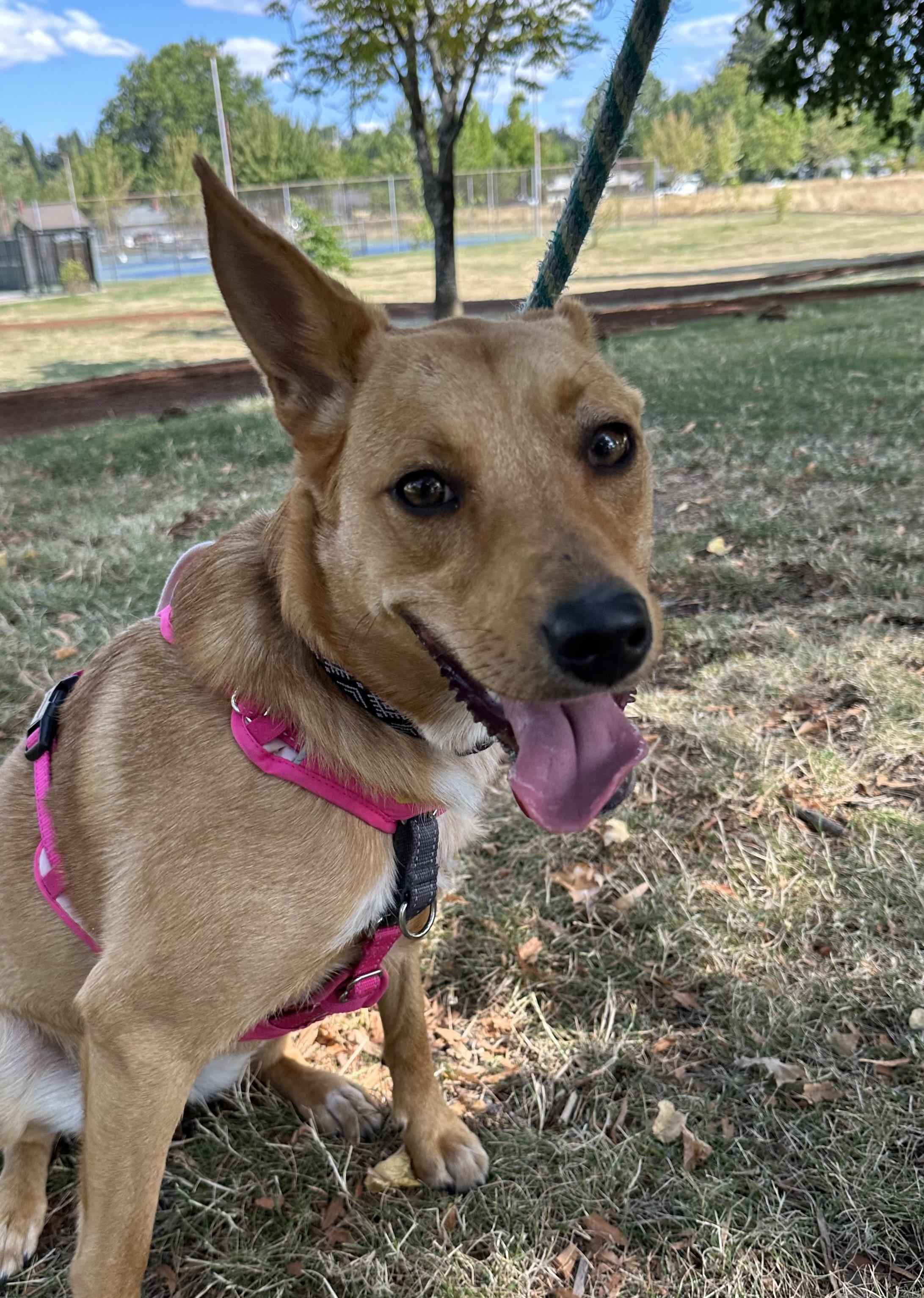 Oona