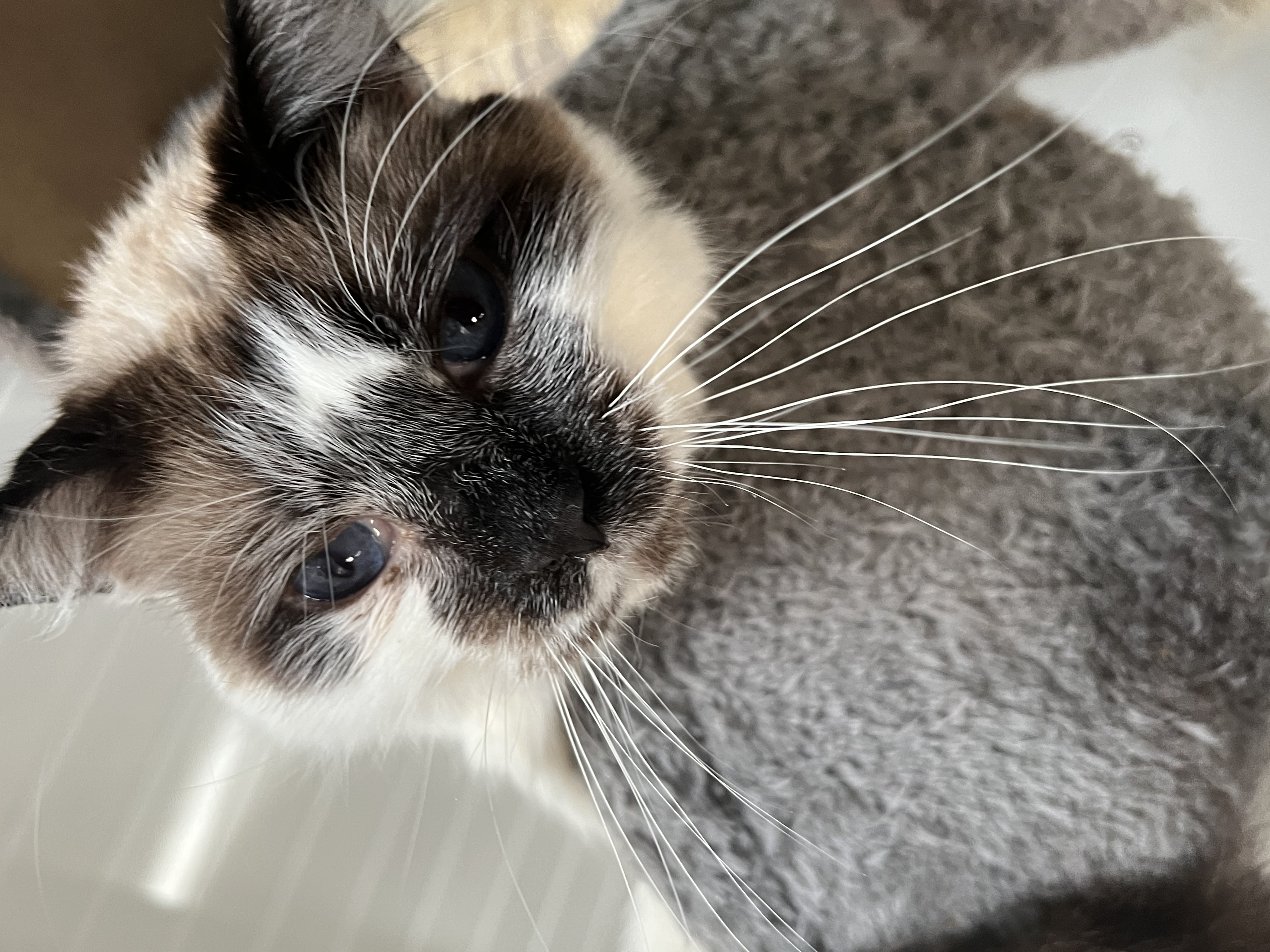 Smudge photo 2