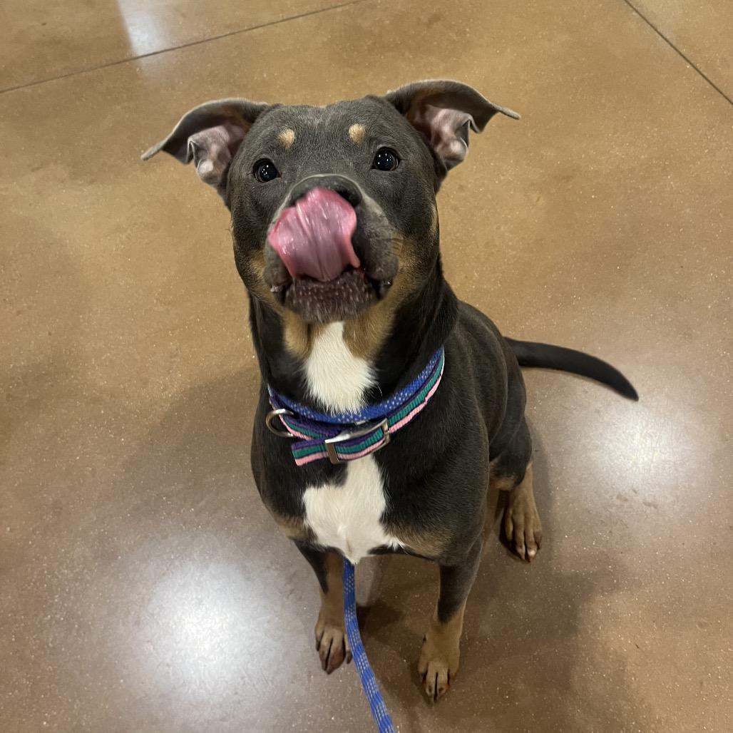 Athis — thumbnail 2