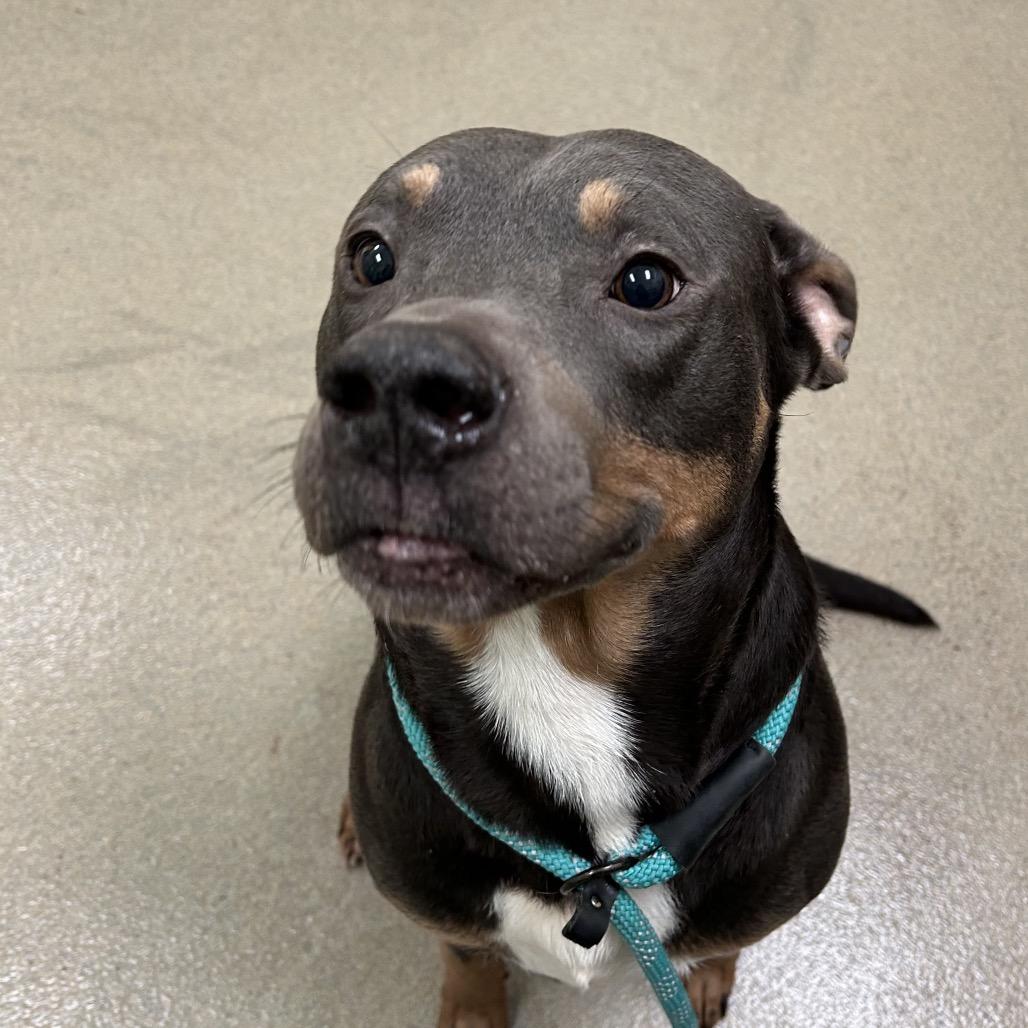 Athis — thumbnail 3