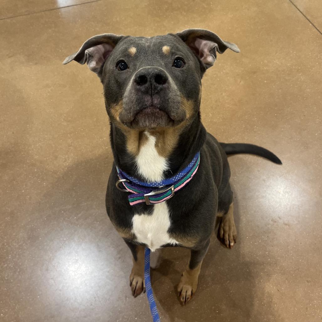 Athis — thumbnail 4