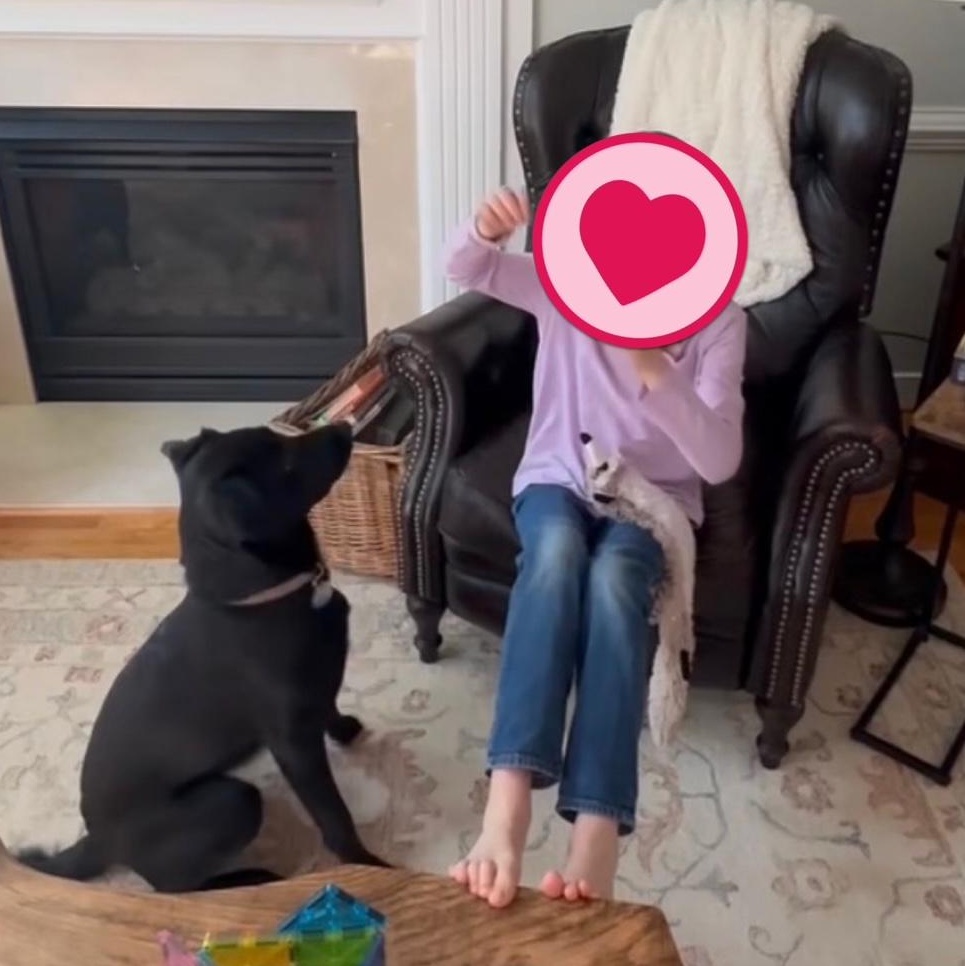 Enlarge Clover, a ADOPTABLE mixed breed in Richmond, VA image 3/4