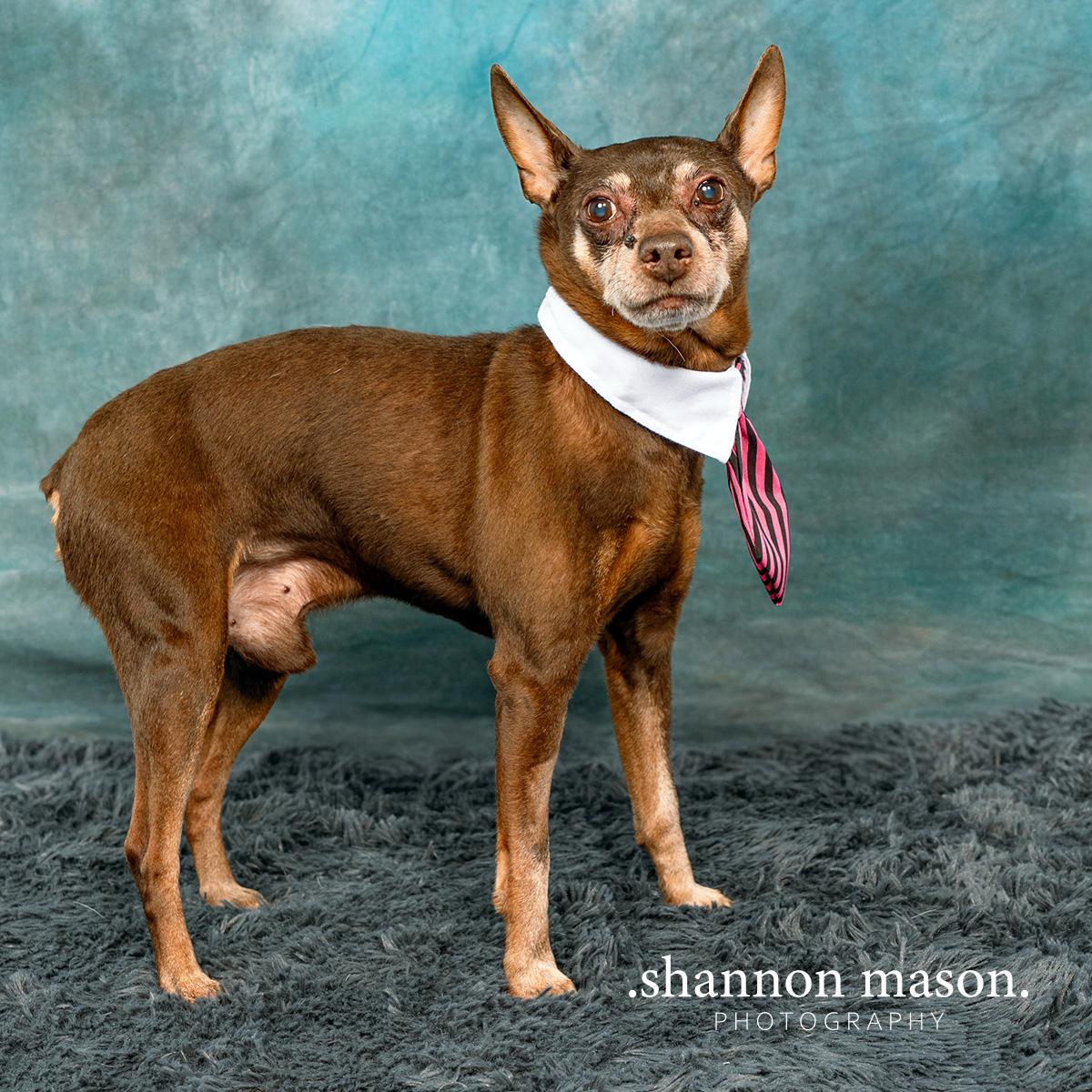 Zeus, Senior Male unknown