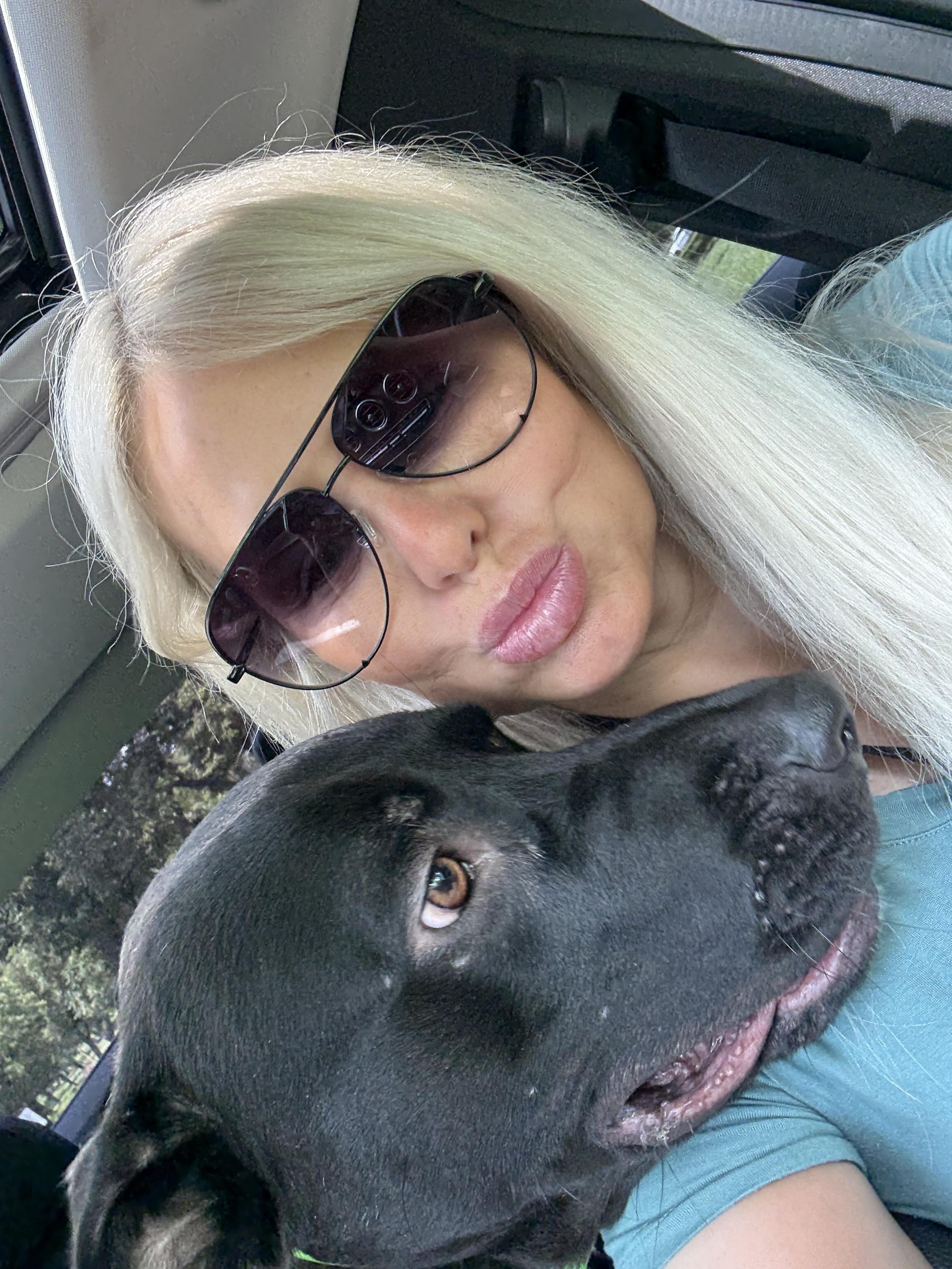 Enlarge Leo, a Adoptable mixed breed in Elkland, MO image 2/5