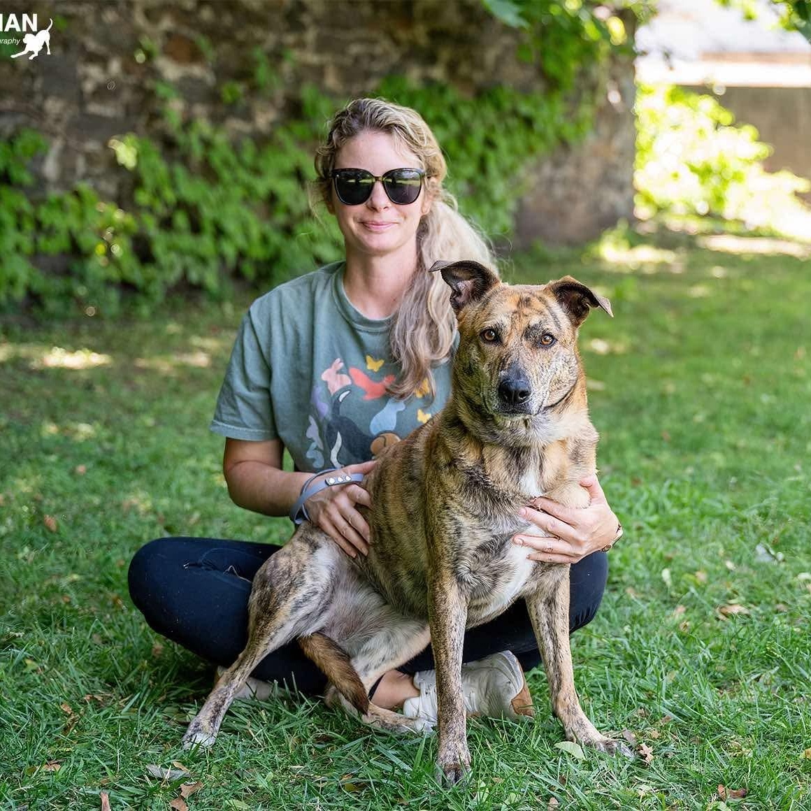 Enlarge IGGY, a Adoptable mixed breed in Stamford, CT image 2/6