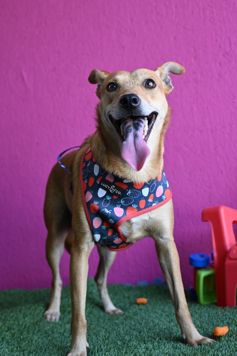 Marline — thumbnail 4