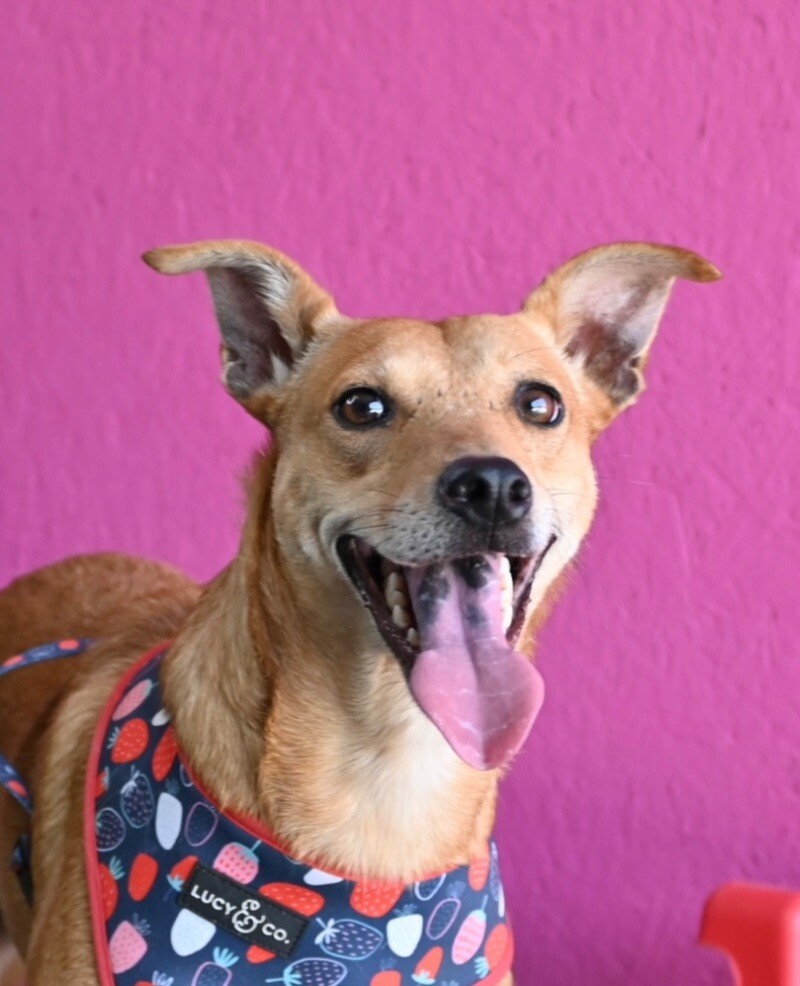 Marline — thumbnail 5