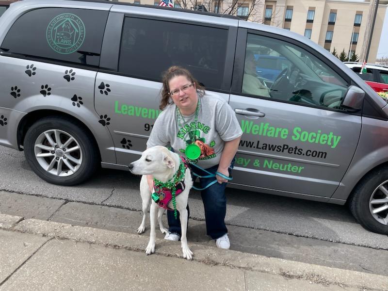 Laci, a ADOPTABLE mixed breed in Leavenworth, KS image 5/6