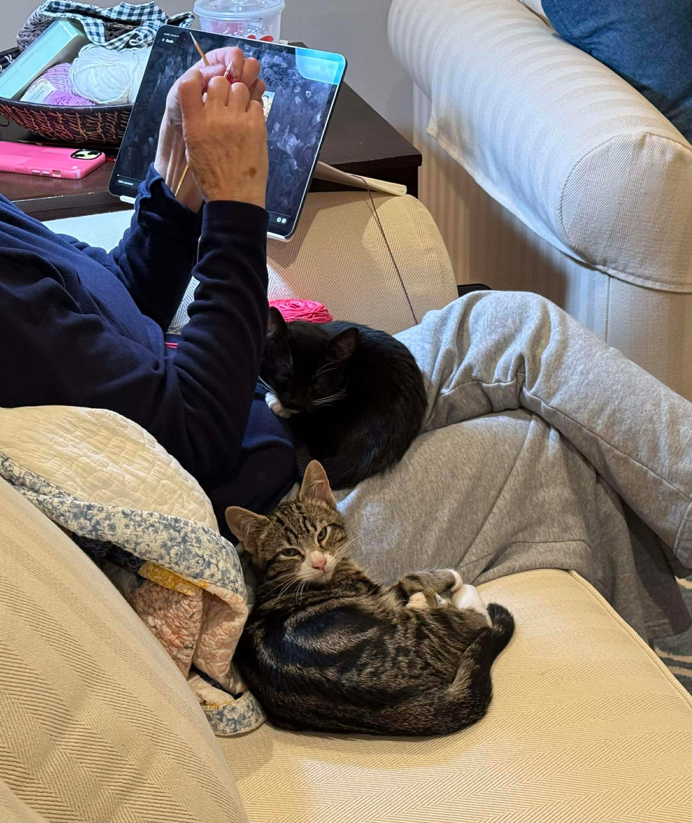 Enlarge Gabby & Boots, an adopted mixed breed in East Orange, NJ image 3/6