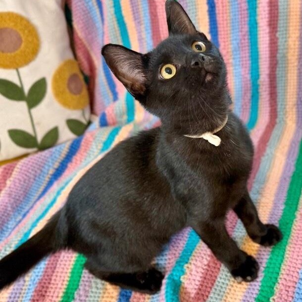 Larry Lopez thumbnail 5