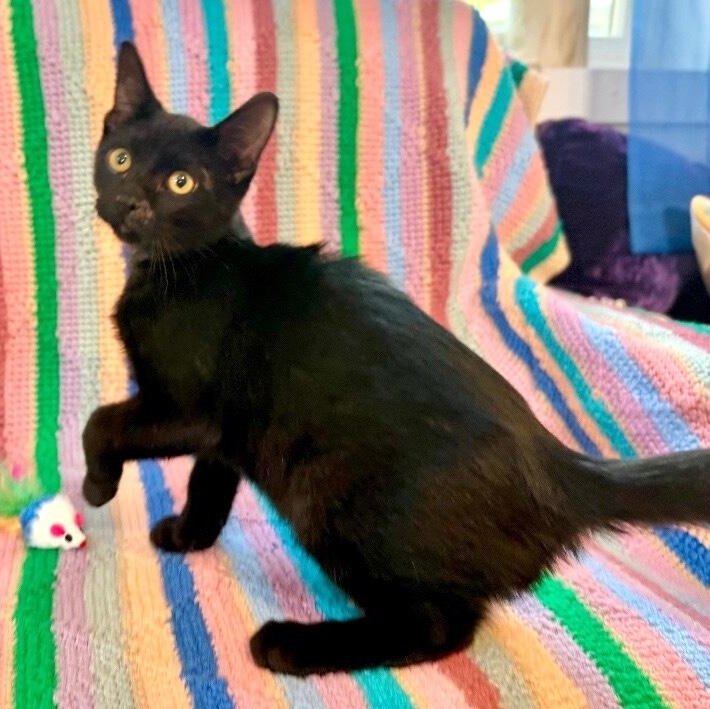 Larry Lopez thumbnail 6