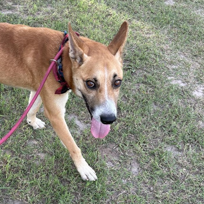 Flako — thumbnail 5