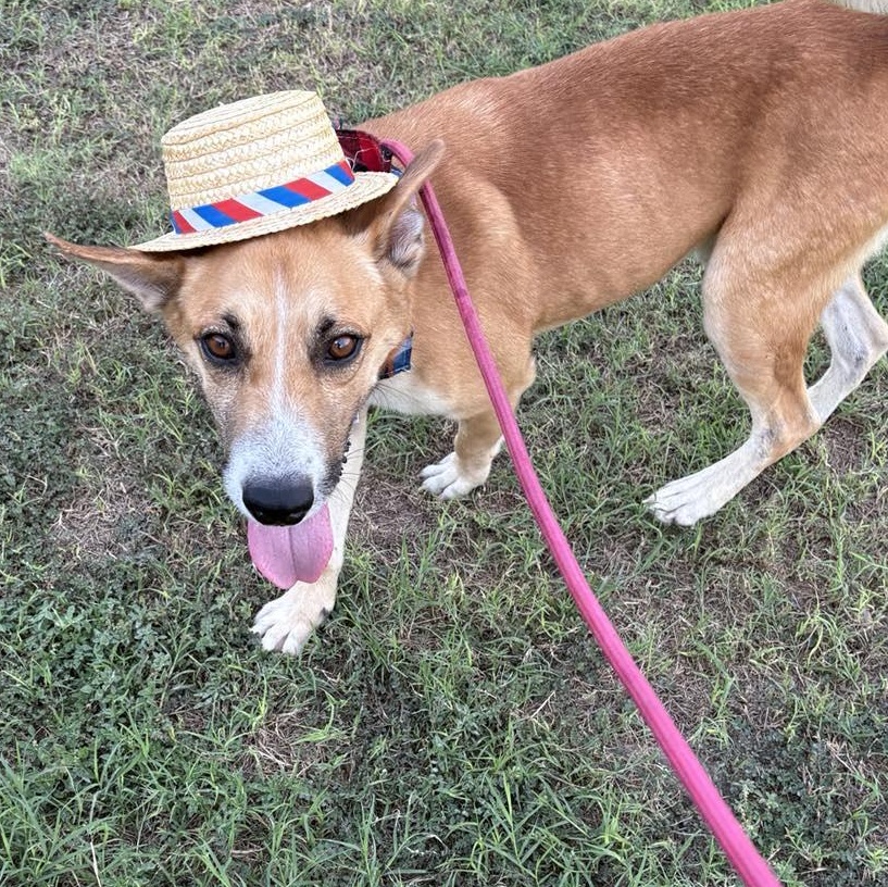 Flako — thumbnail 6