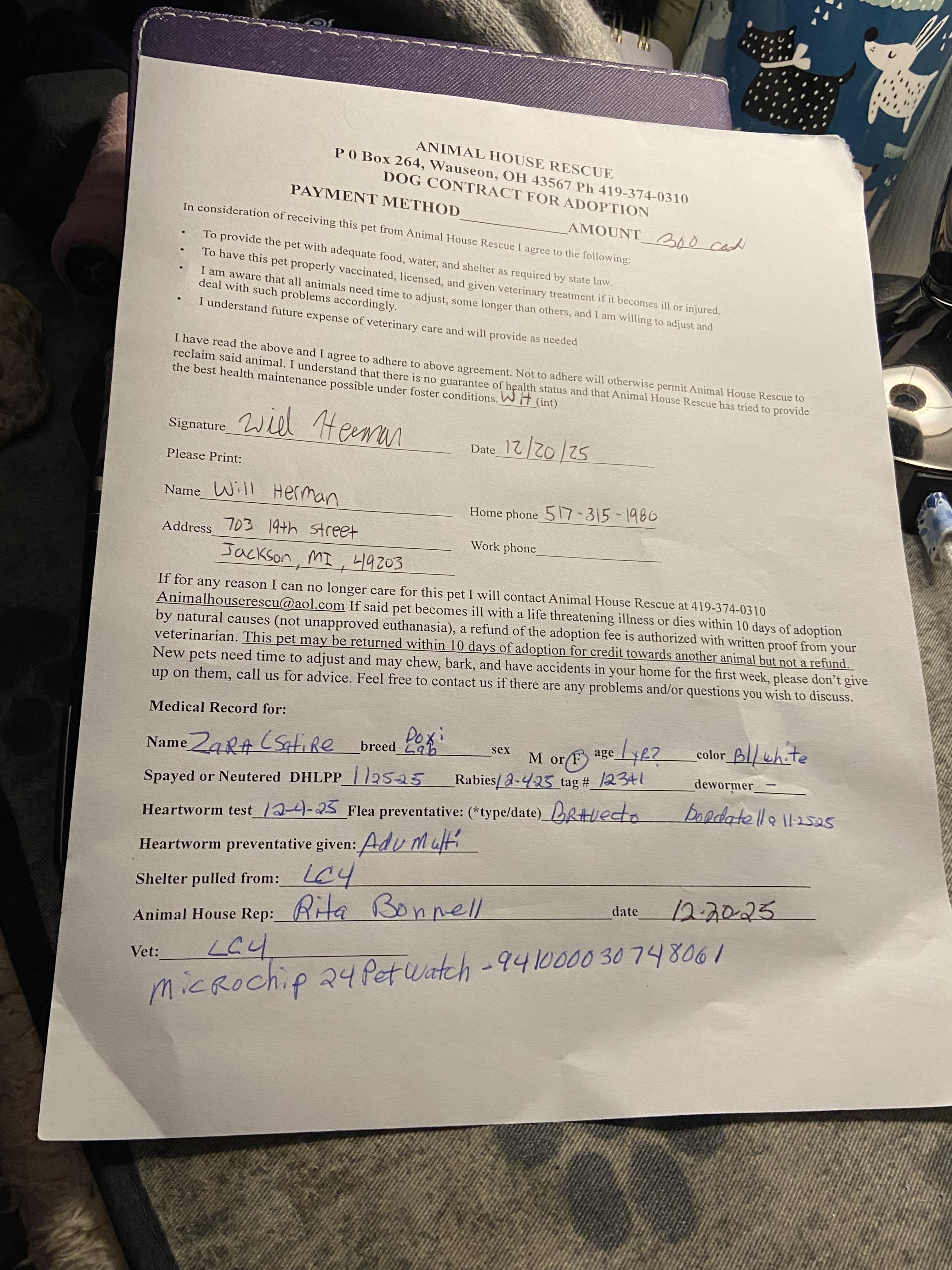 Enlarge Zara, an adopted mixed breed in Wauseon, OH image 4/4