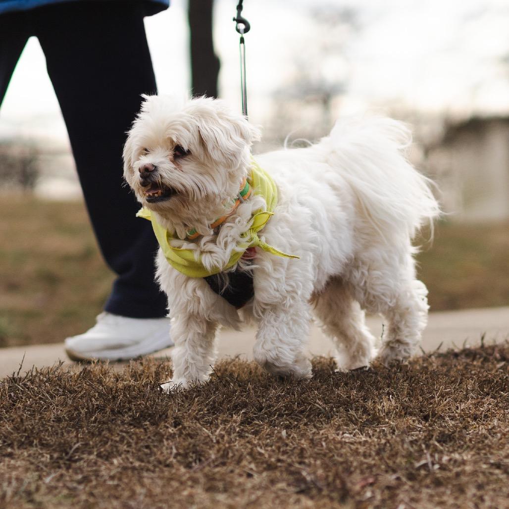 Sammie — thumbnail 2