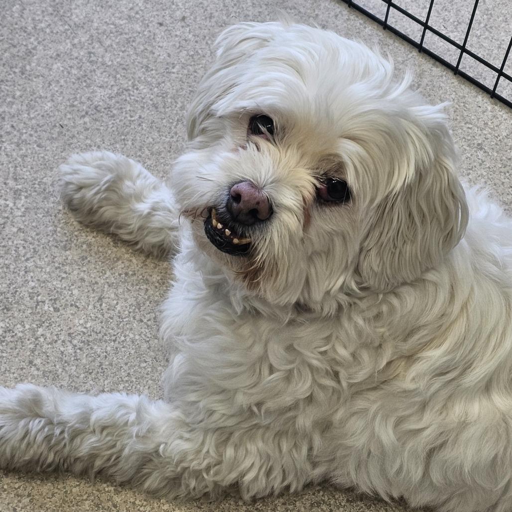 Sammie — thumbnail 3