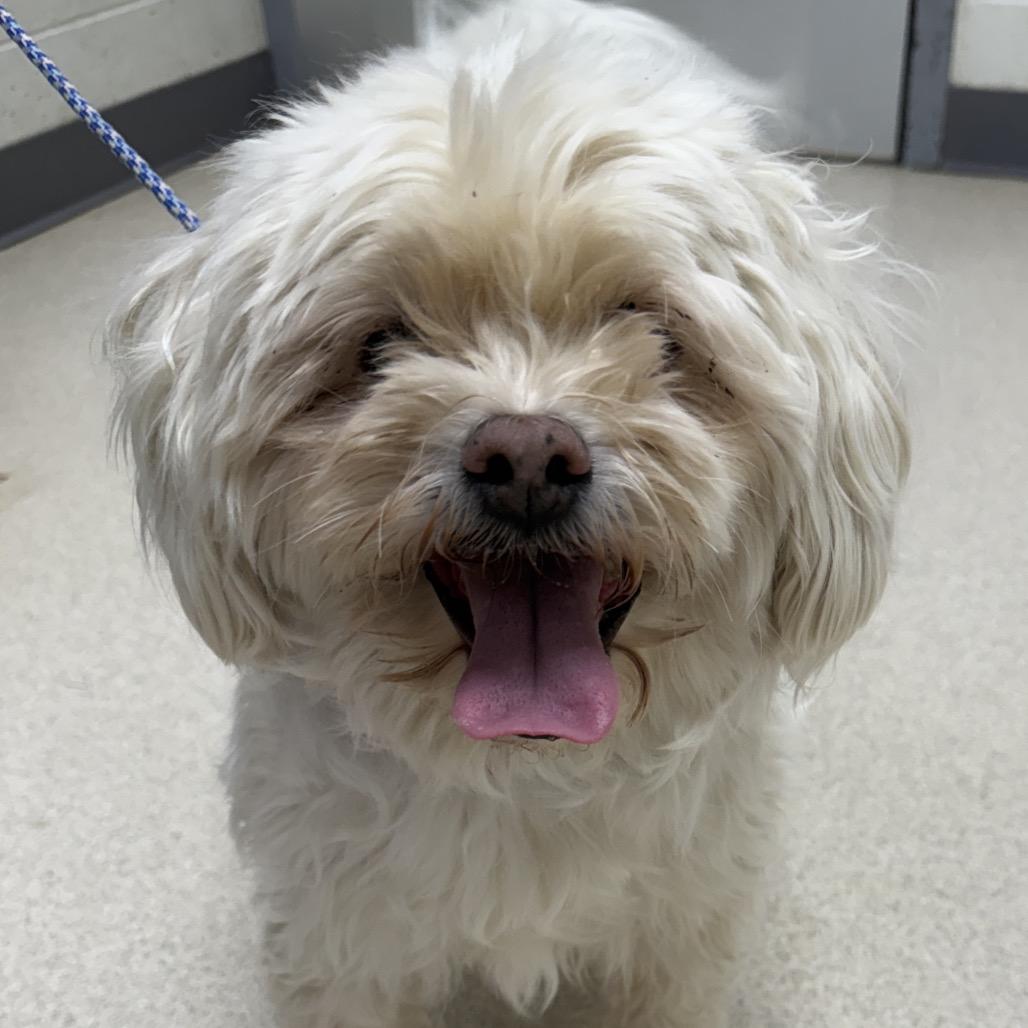 Sammie — thumbnail 4