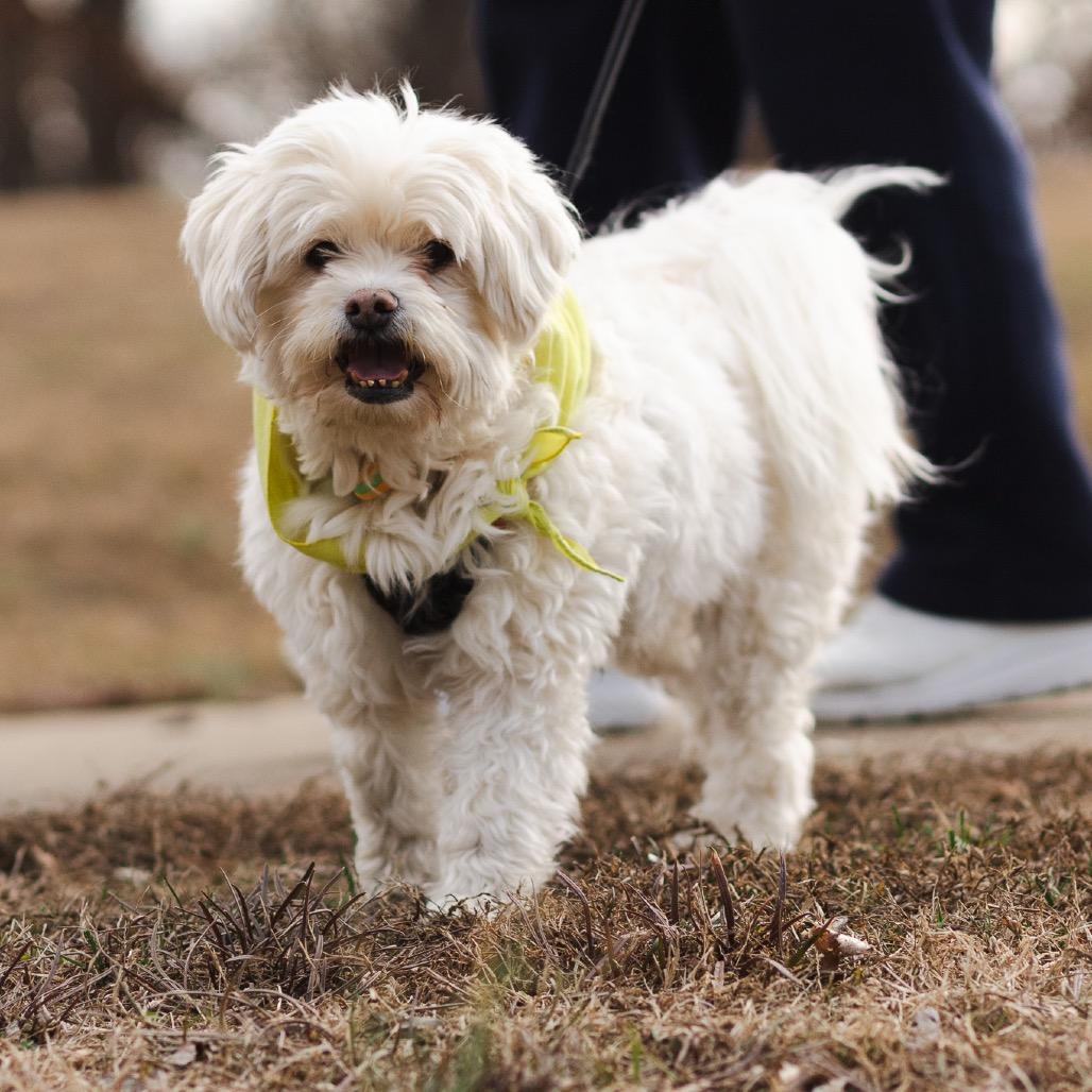 Sammie — thumbnail 6