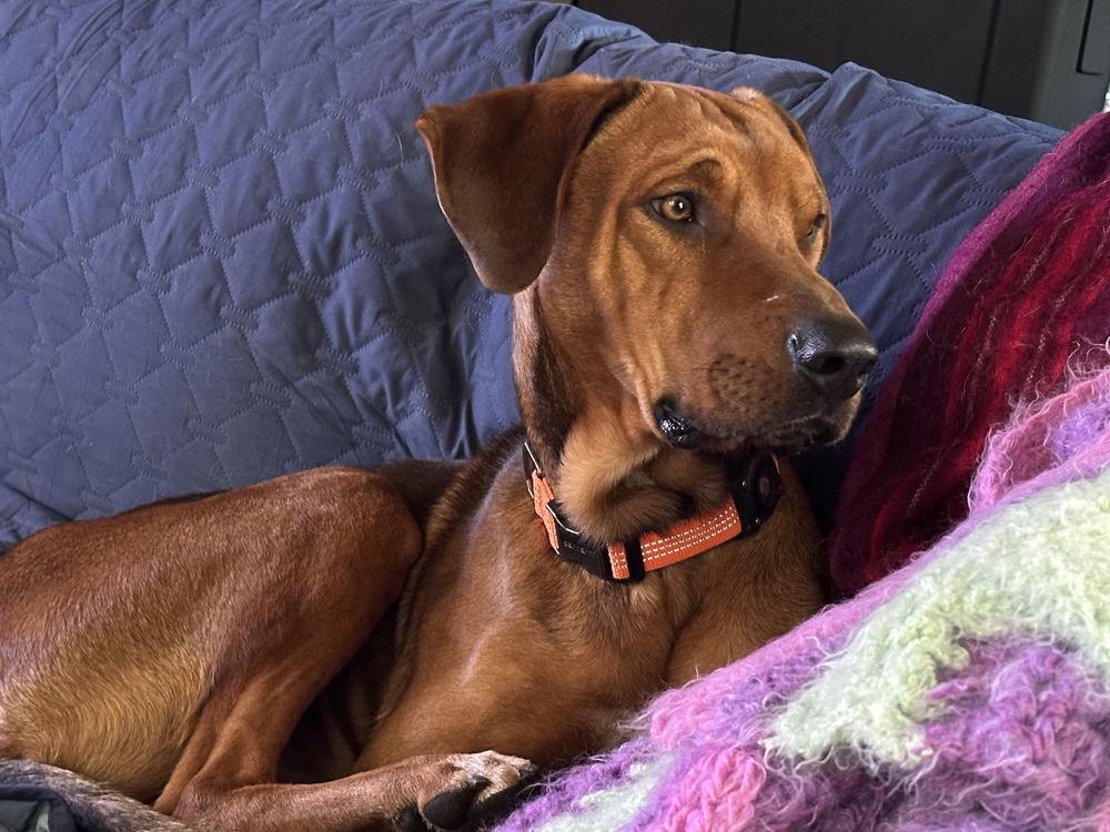 Beau Duke thumbnail 2