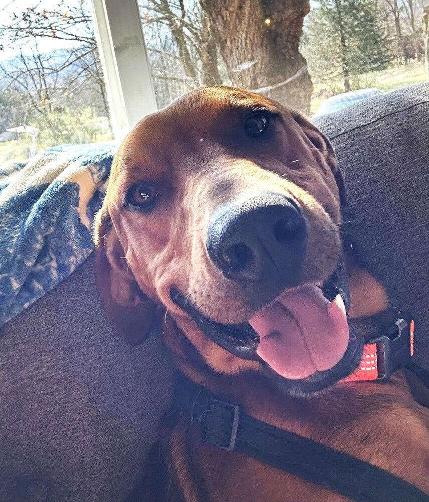 Beau Duke thumbnail 3