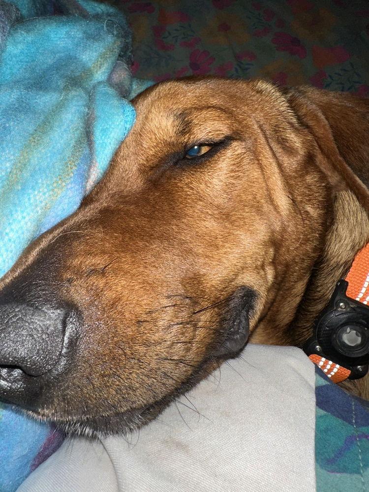 Beau Duke thumbnail 4