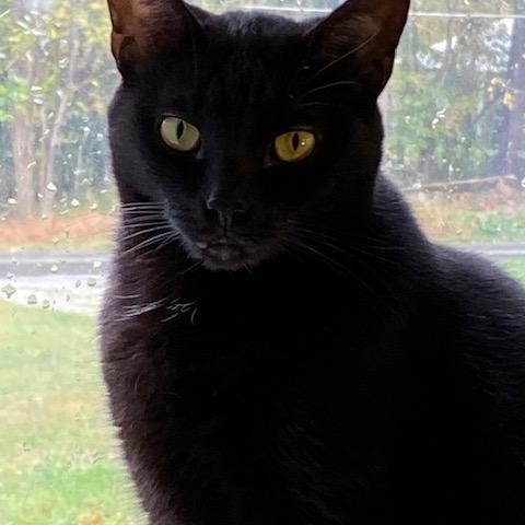 Luna & Missy thumbnail 3