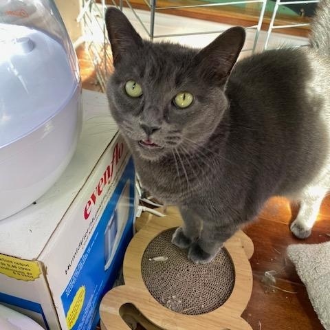 Luna & Missy thumbnail 5