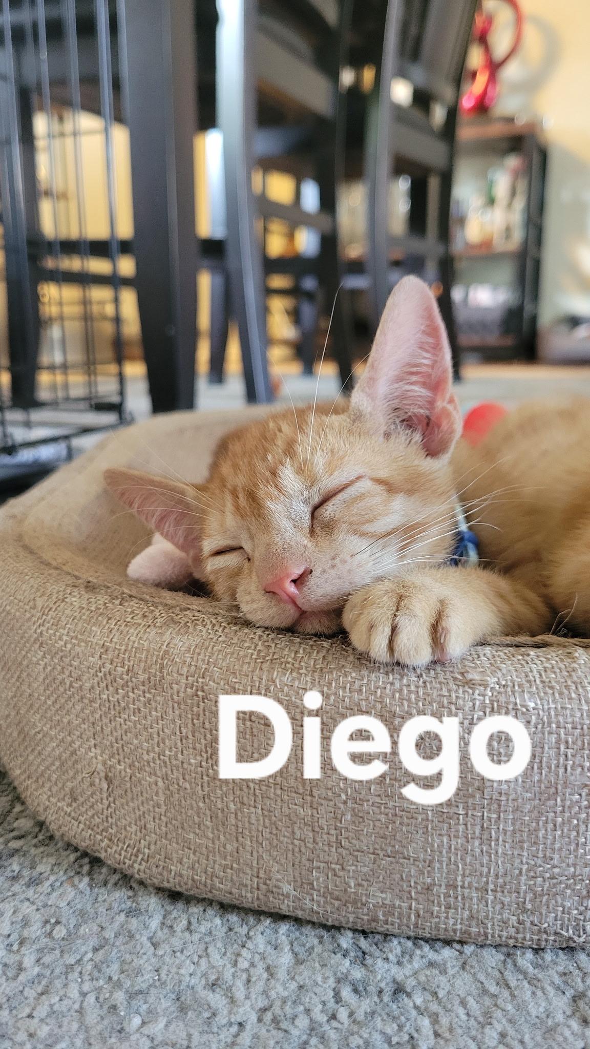 DIEGO