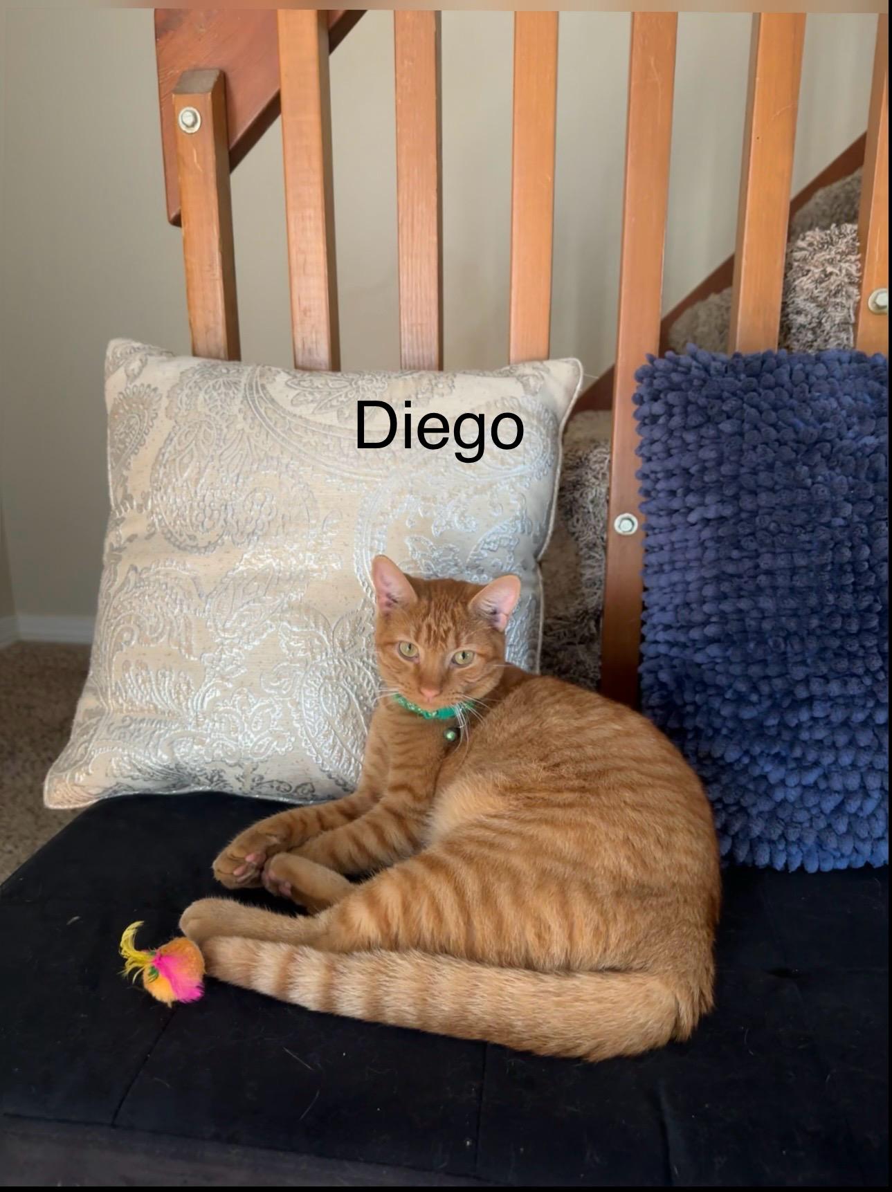 DIEGO