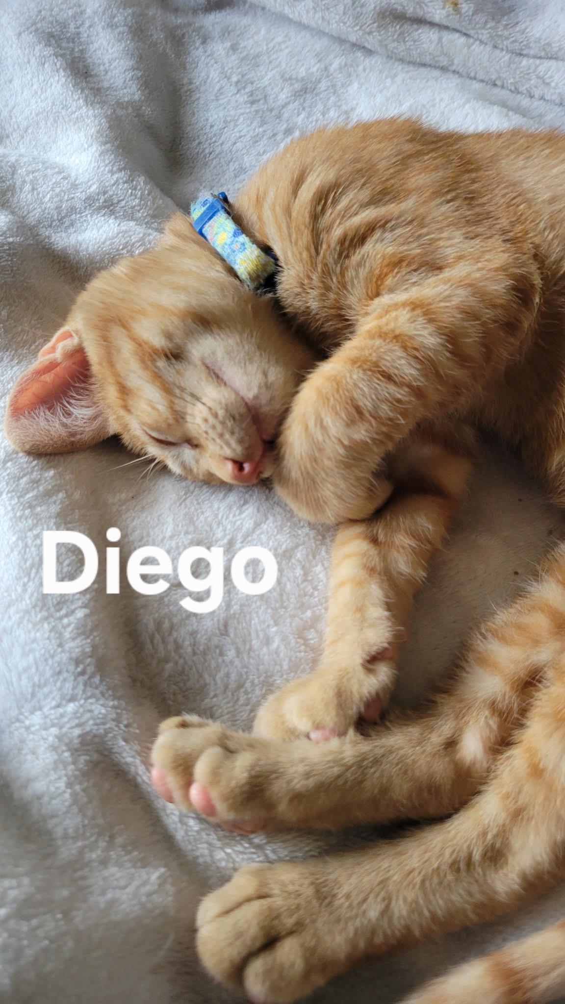 DIEGO