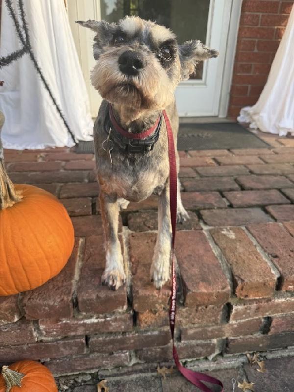 Captain Jack thumbnail 2