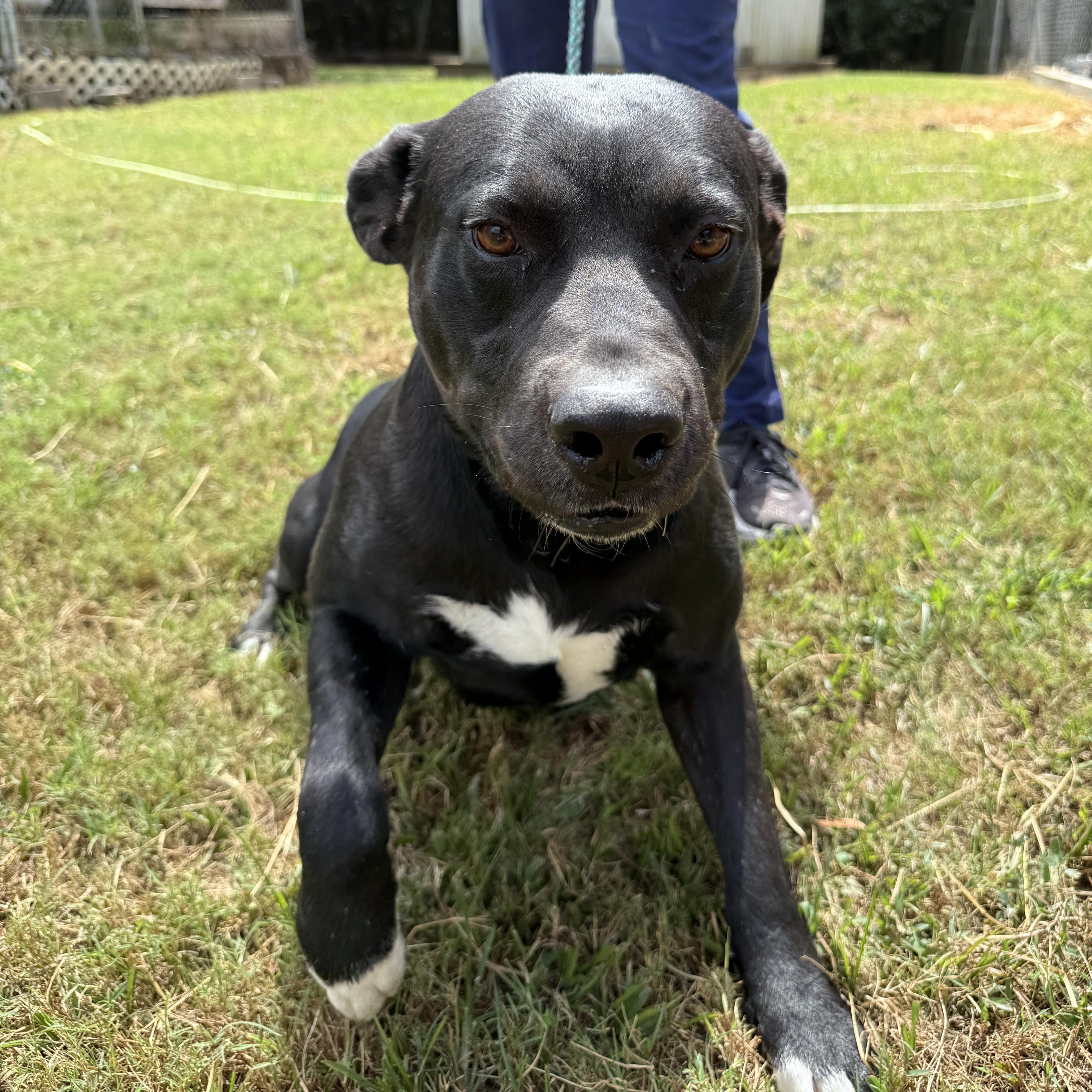 Bobby Joe — thumbnail 5