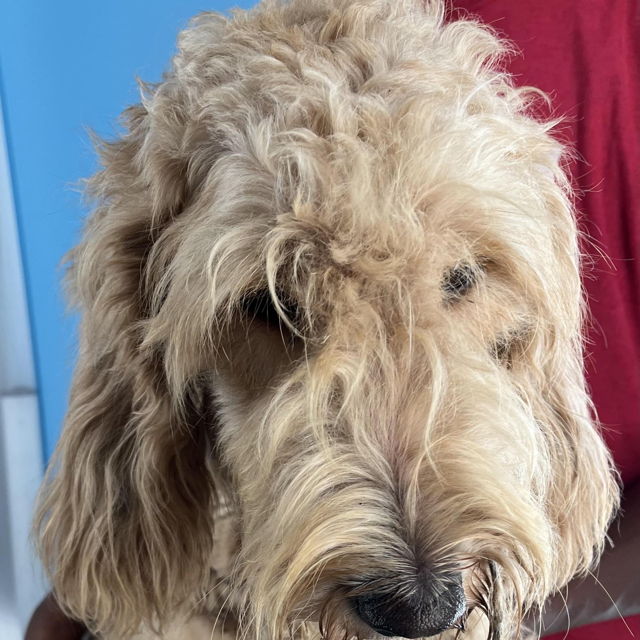 Gabby - Local Sept 26-28