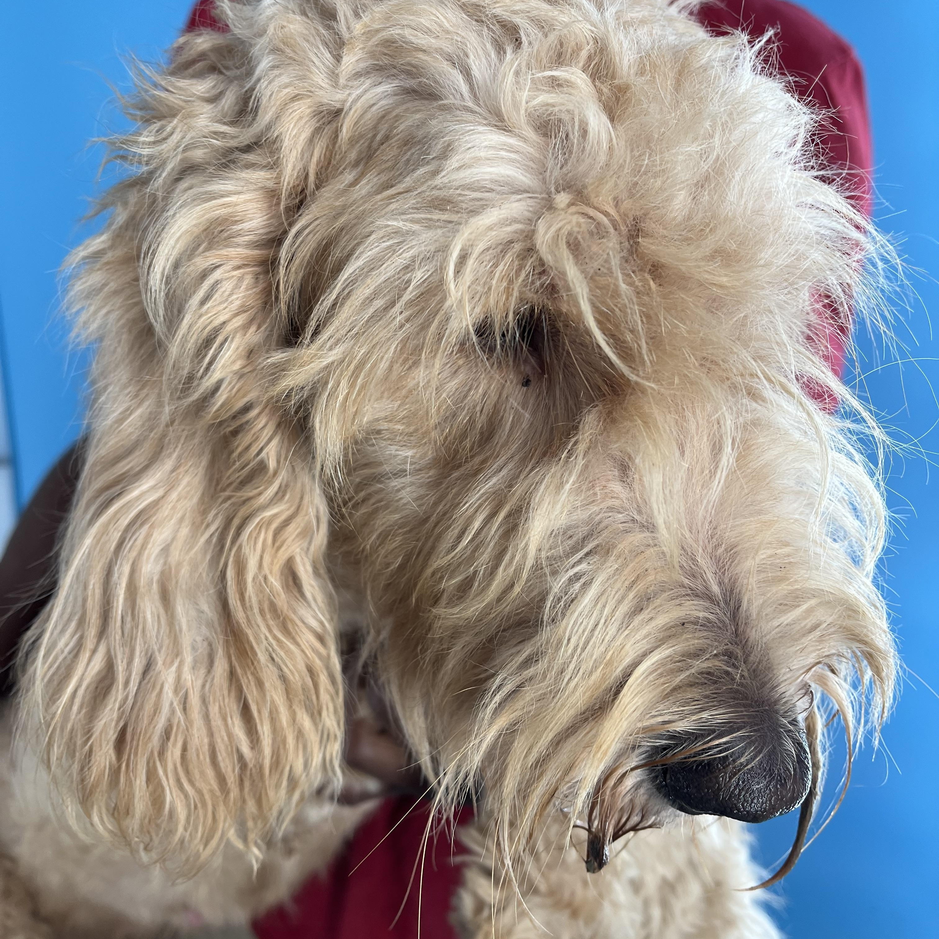 Gabby - Local Sept 26-28