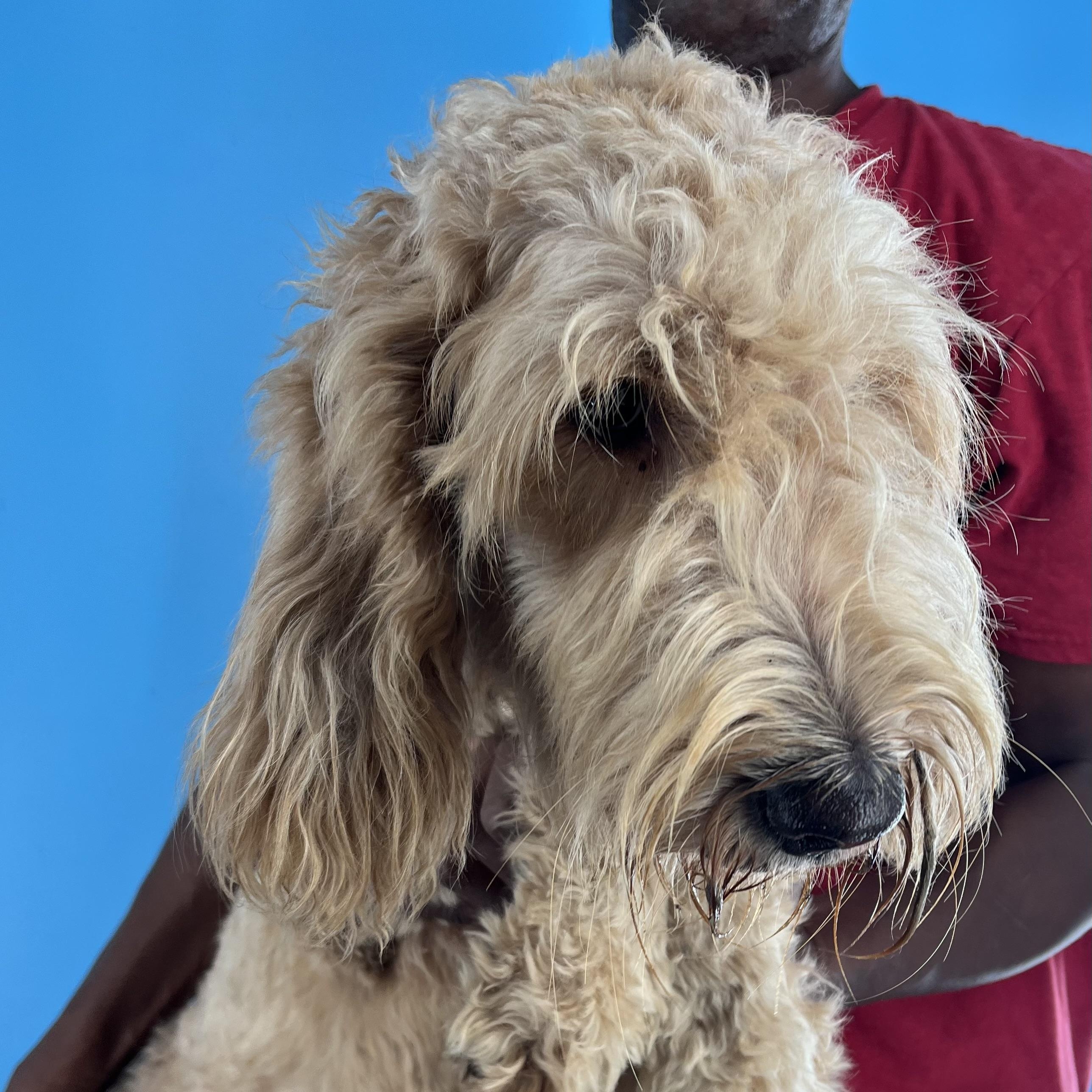 Gabby - Local Sept 26-28