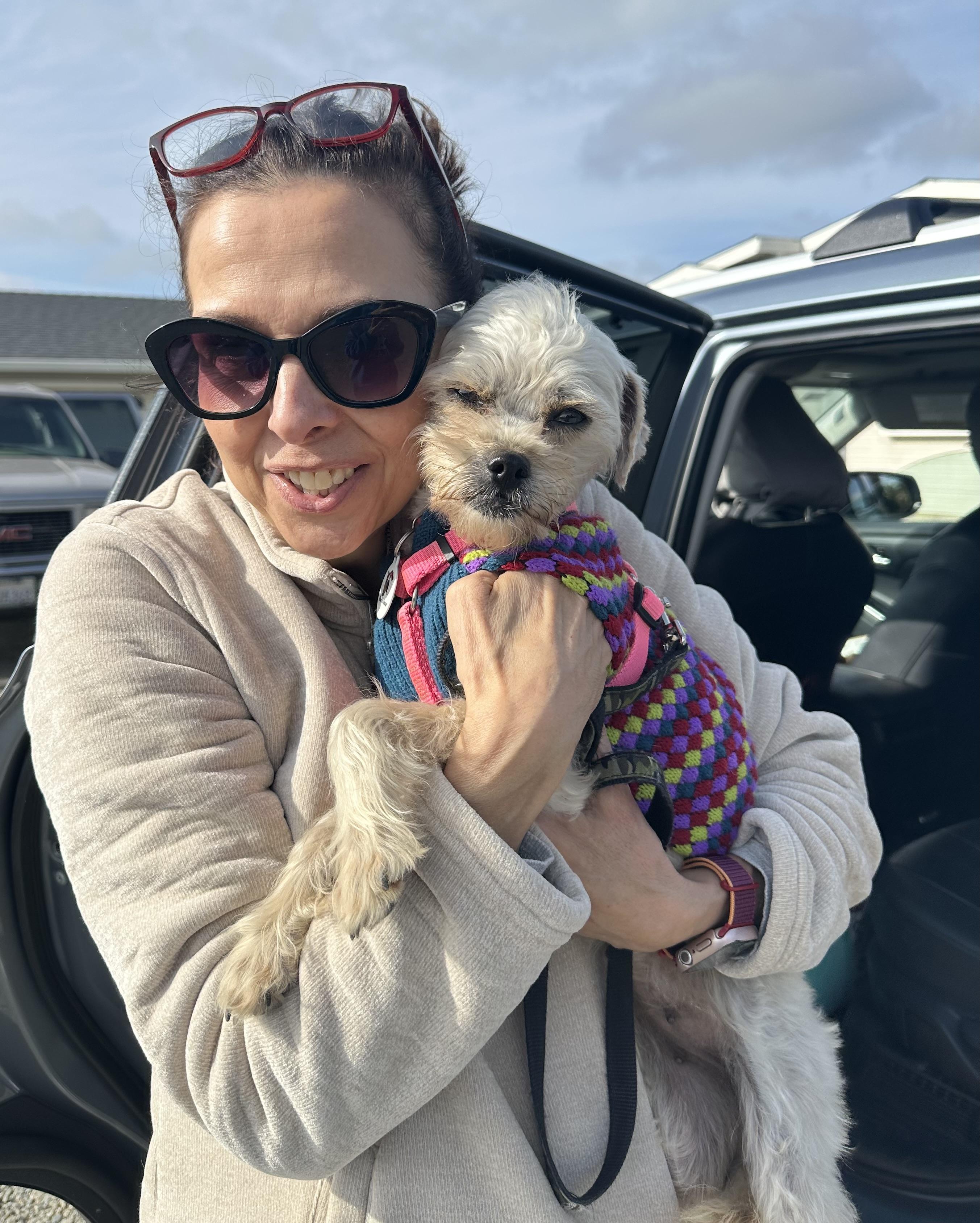 Enlarge Sommer, a ADOPTABLE mixed breed in Knightsen, CA image 4/6