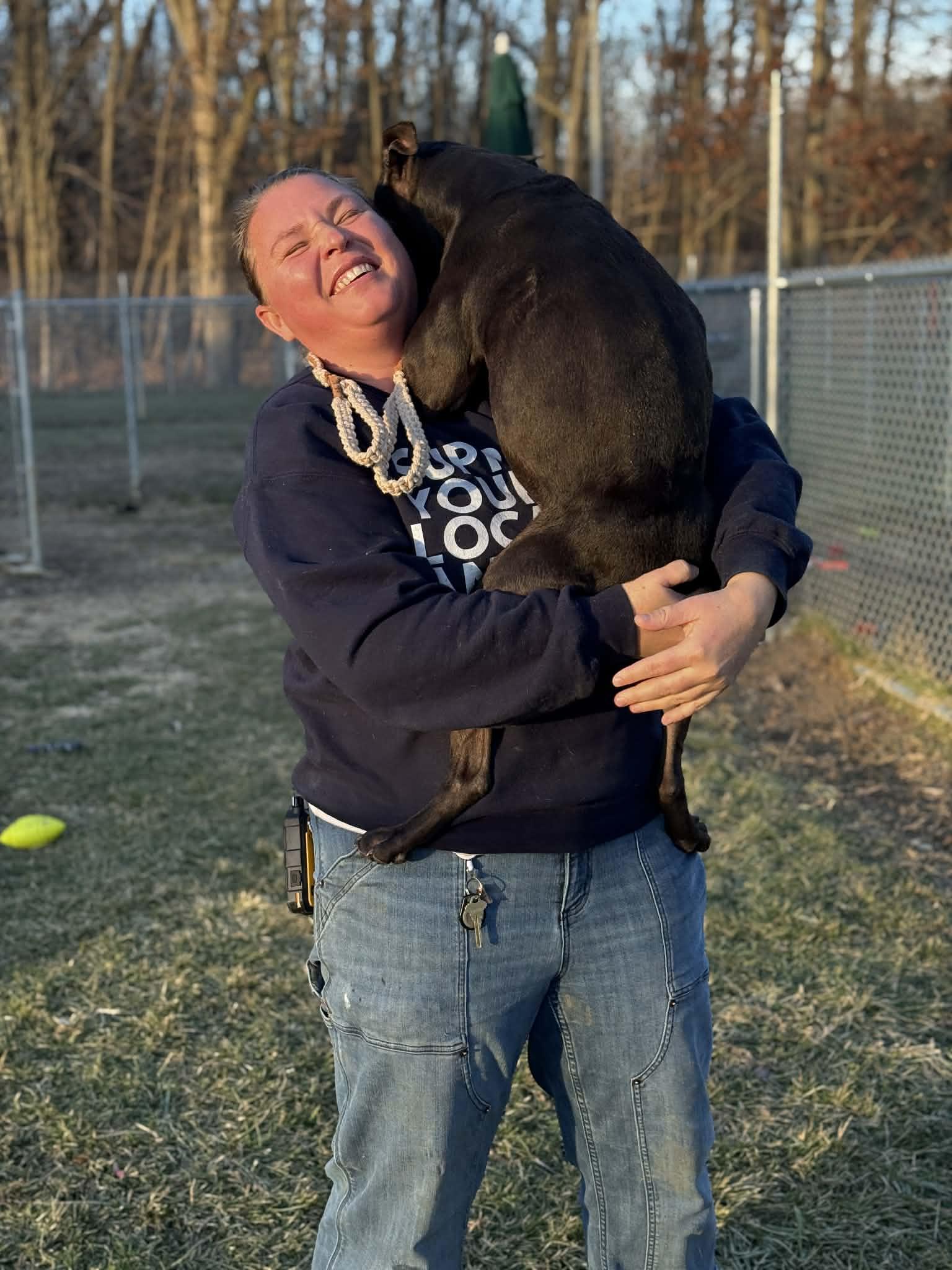 Enlarge Rainbow Sprinkle, a ADOPTABLE Mixed Breed in Benton Harbor, MI image 2/6