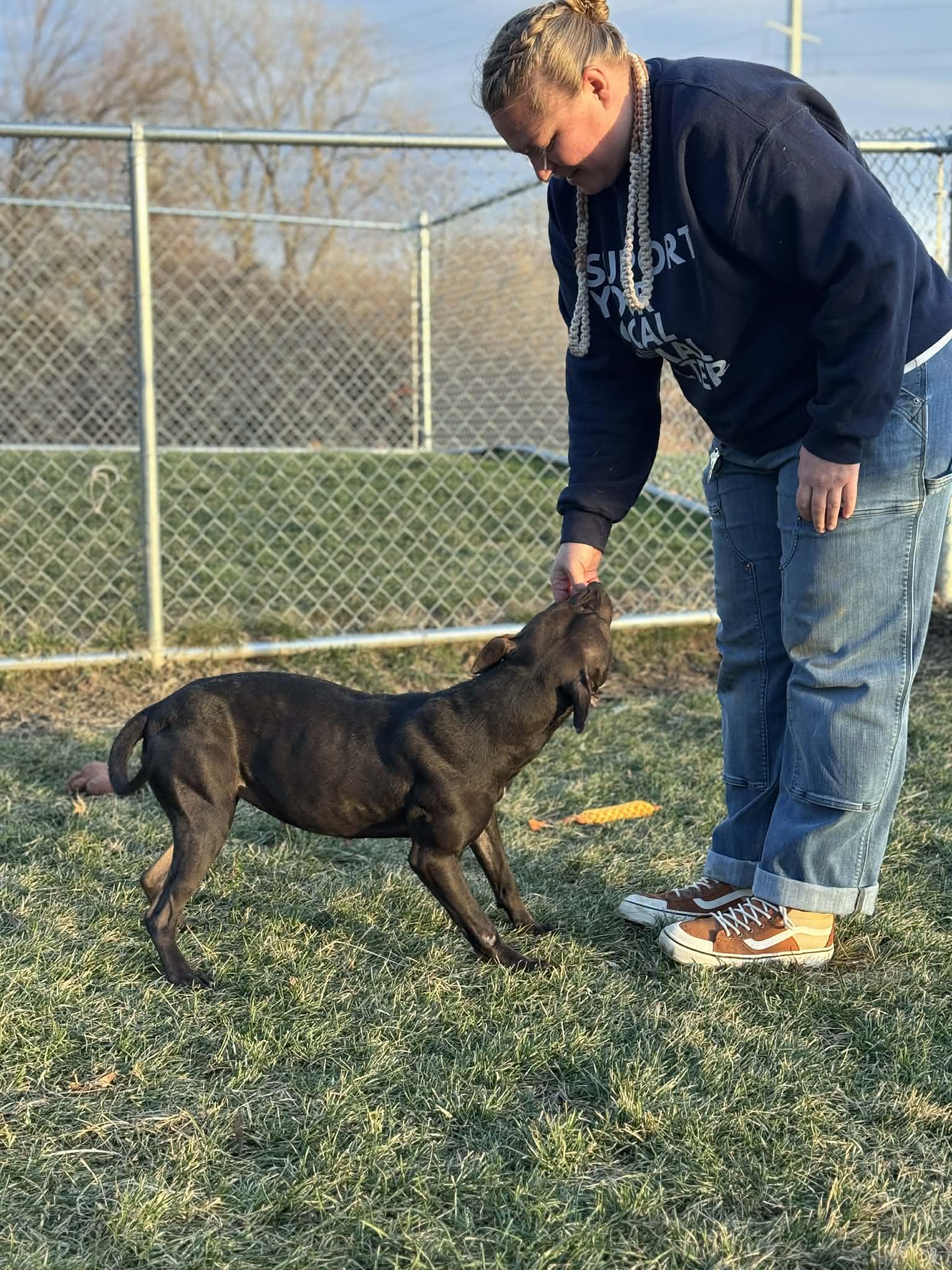 Rainbow Sprinkle — thumbnail 6