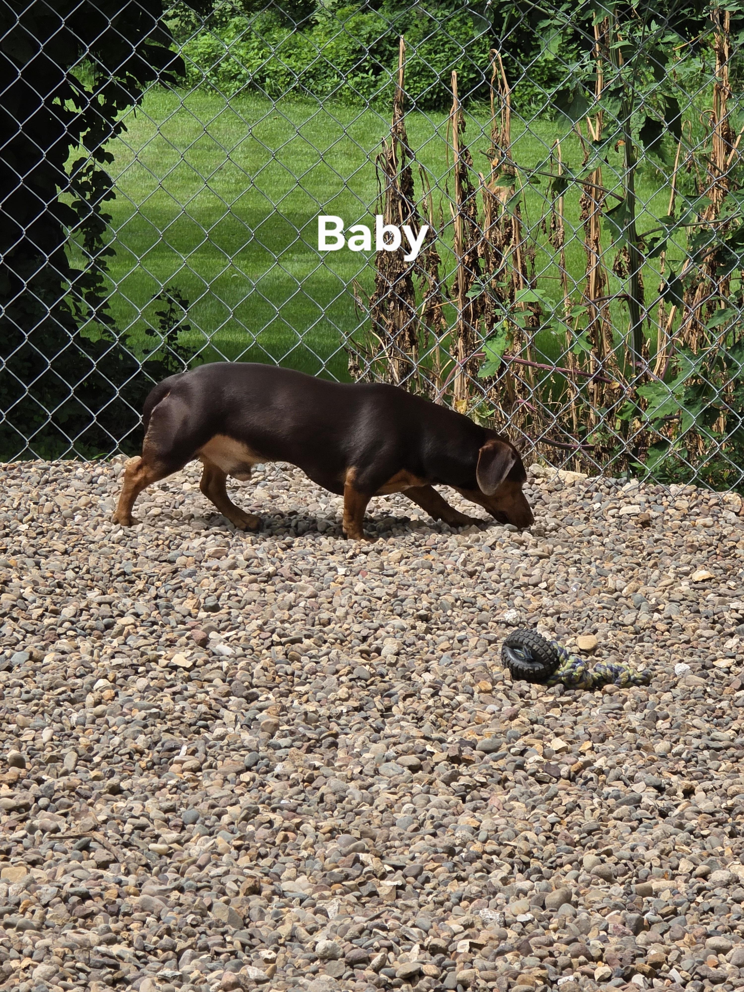 Baby photo 4