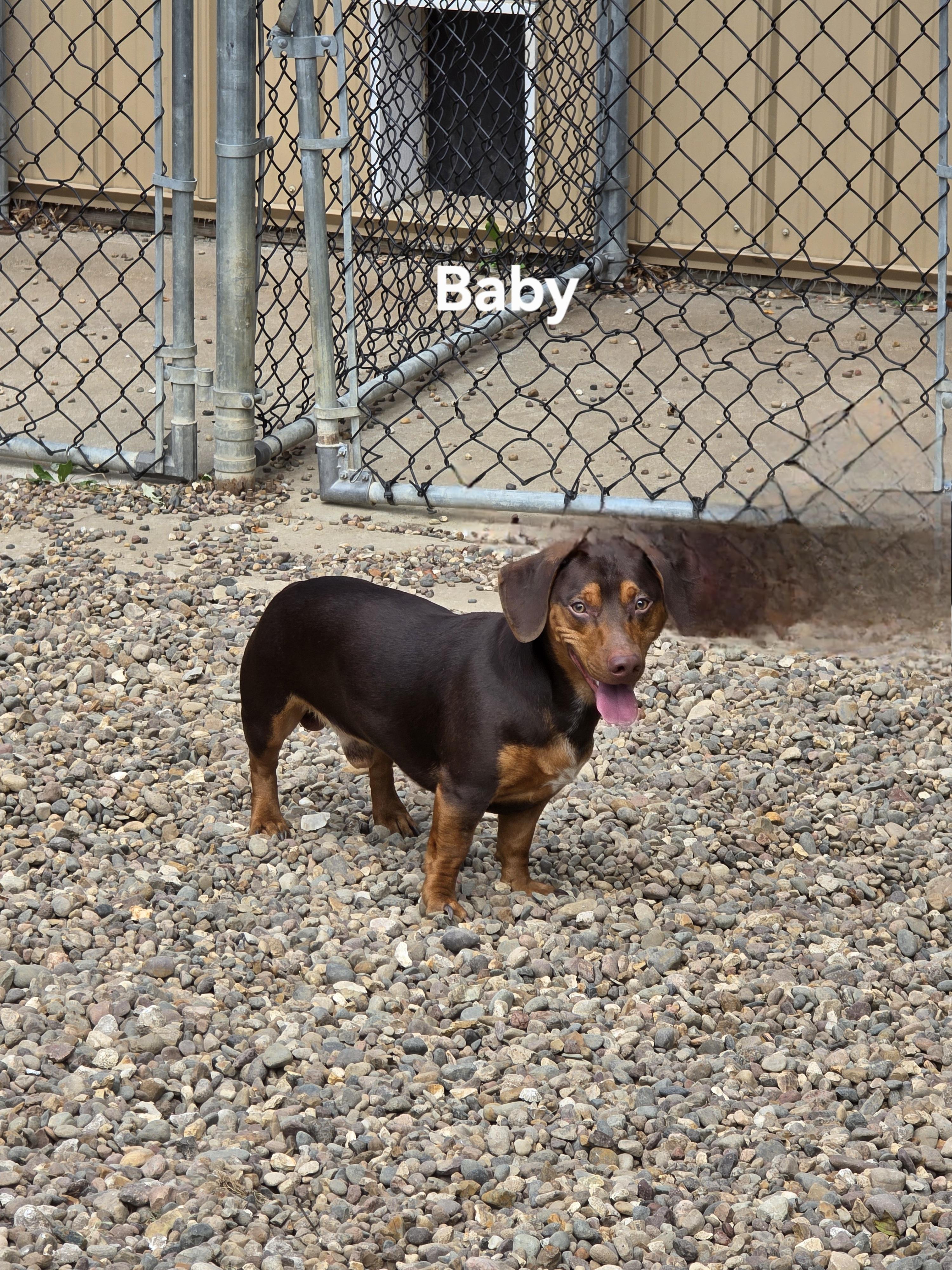 Baby photo 5