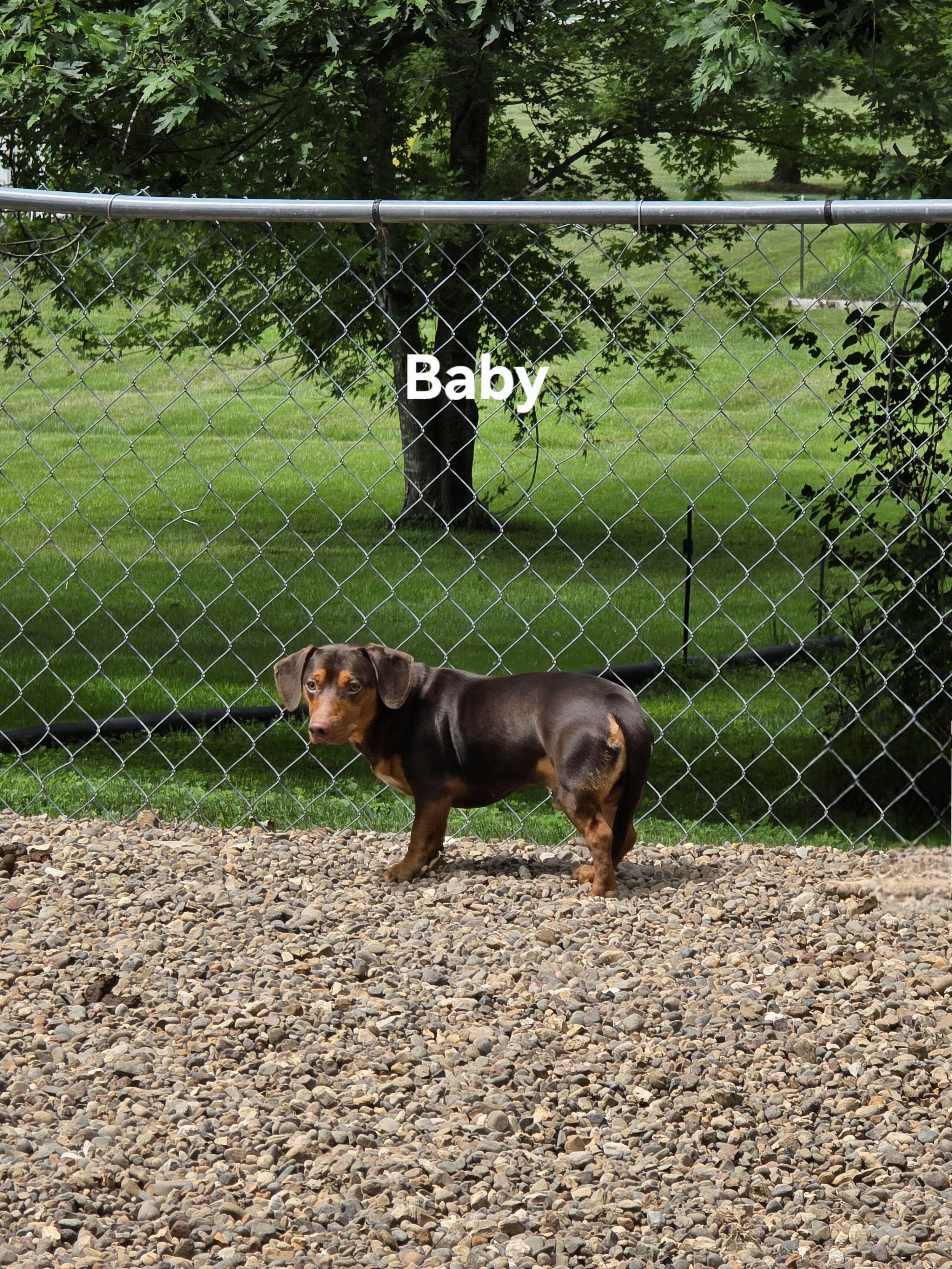 Baby photo 2