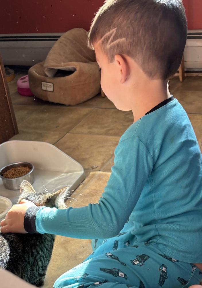 Miss Mcdavidshould We Just thumbnail 6