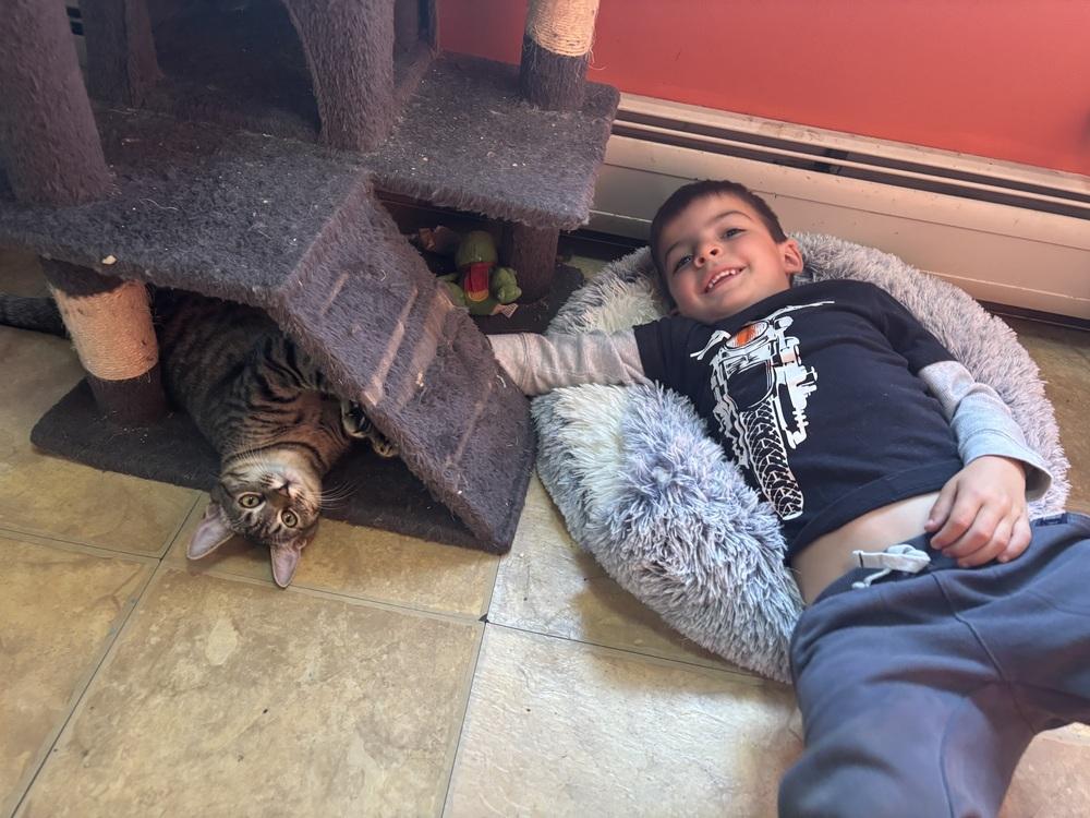 Miss Mcdavidshould We Just thumbnail 7